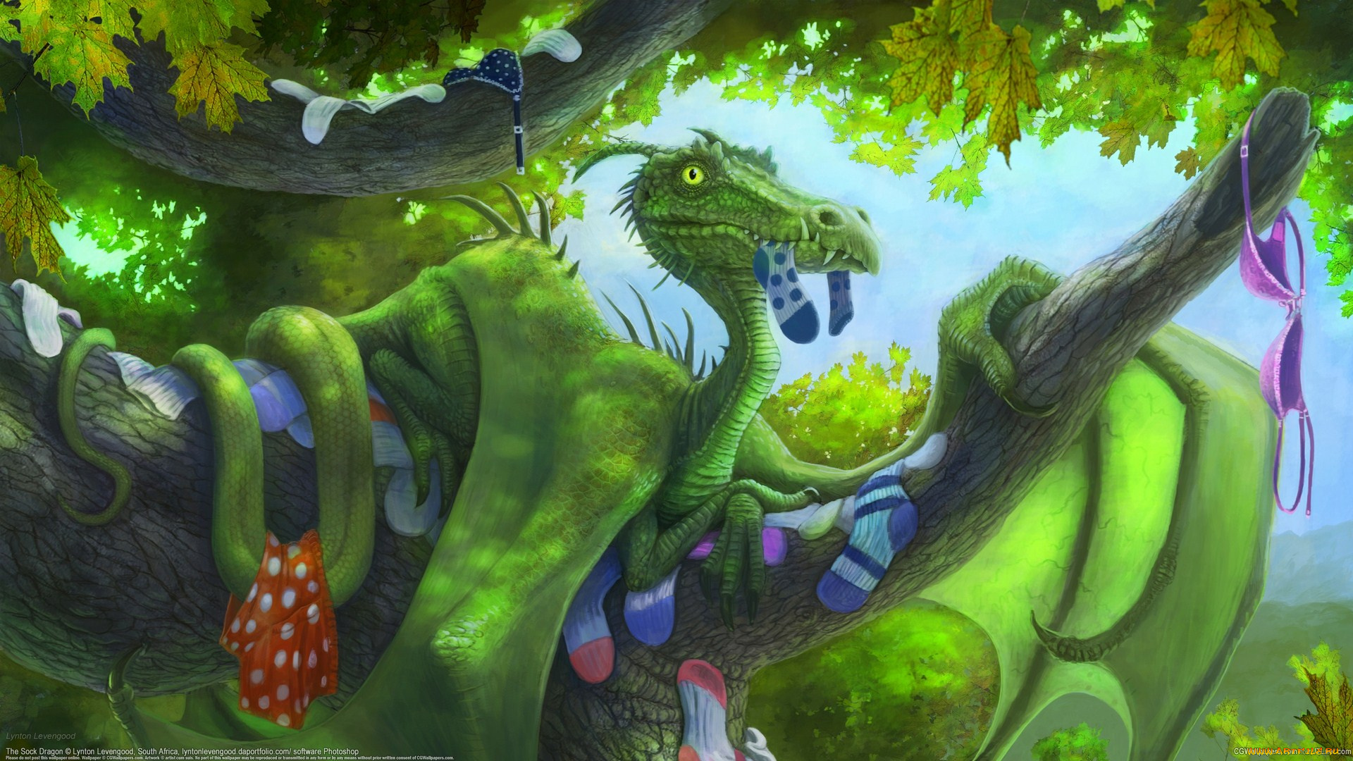 lynton, levengood, фэнтези, драконы, носки, дерево
