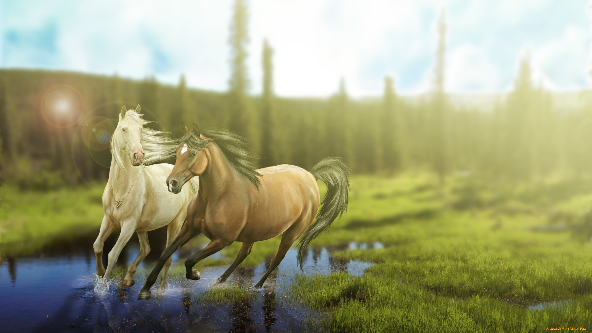 рисованные, животные, лошади