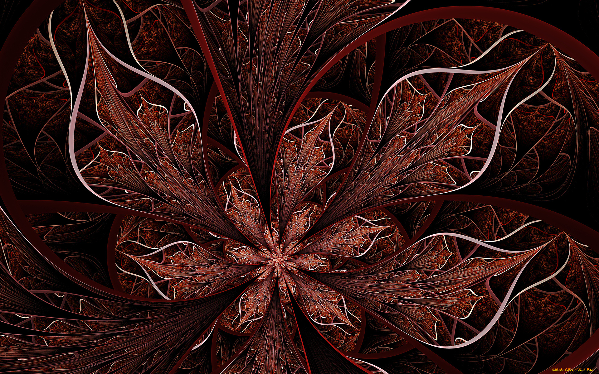 3д, графика, fractal, фракталы, цвета, фон, узор