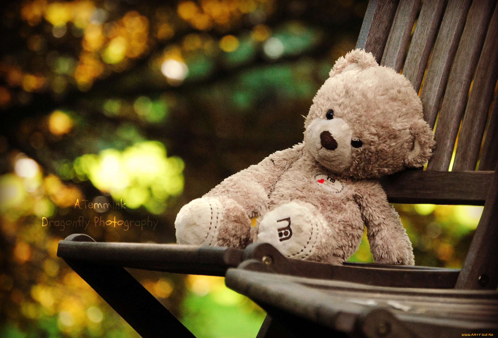 разное, игрушки, медвежонок