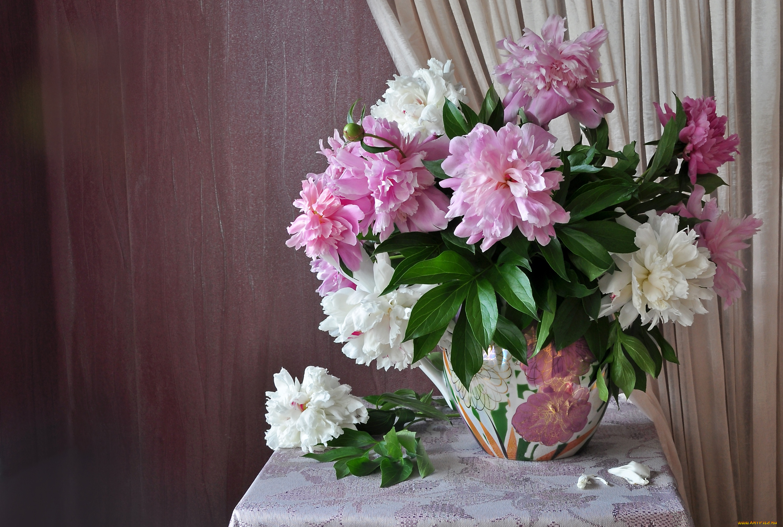 цветы, пионы, букет