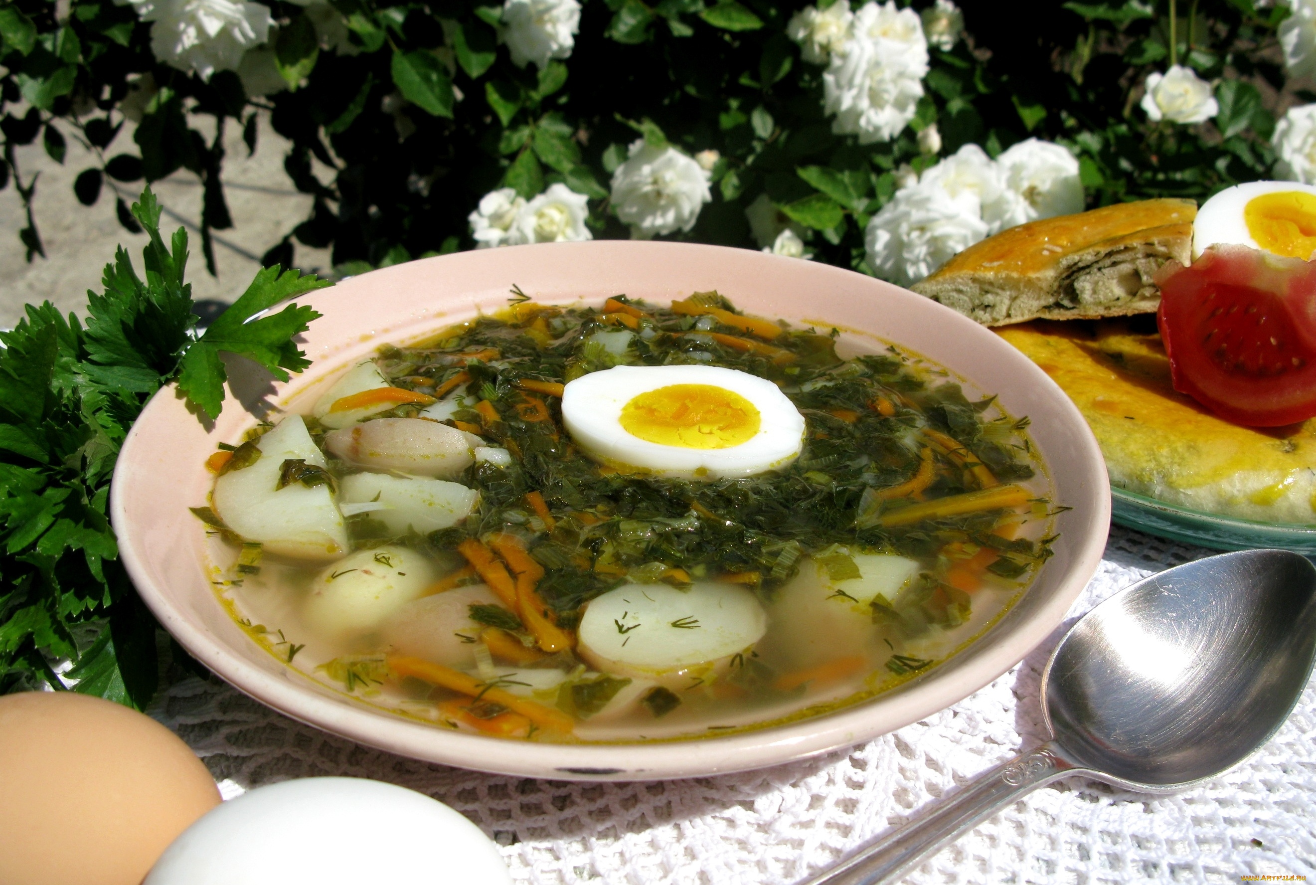 еда, первые, блюда, яйцо, зеленый, борщ