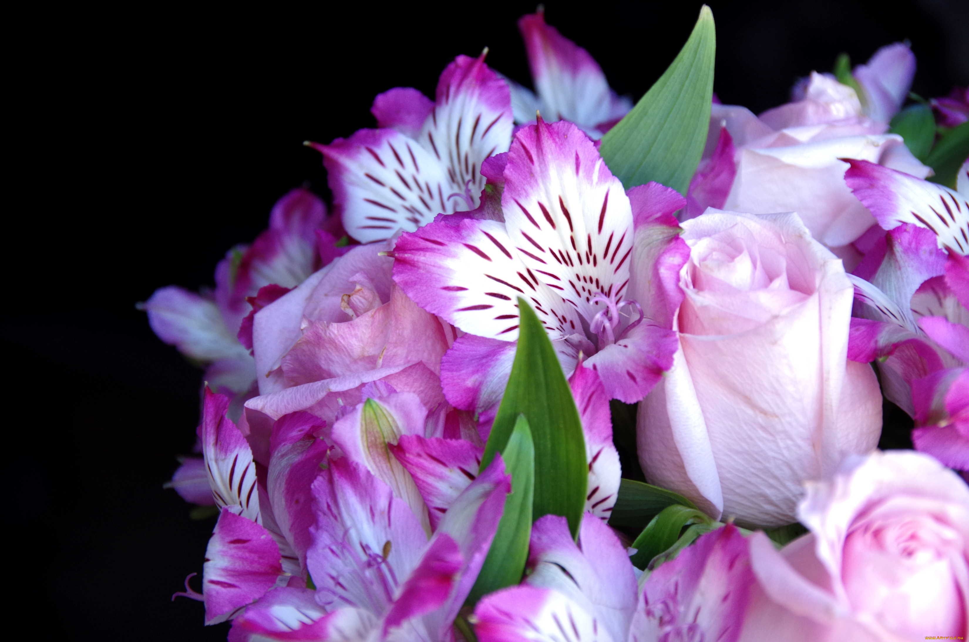 цветы, букеты, композиции, альстромерия, розы