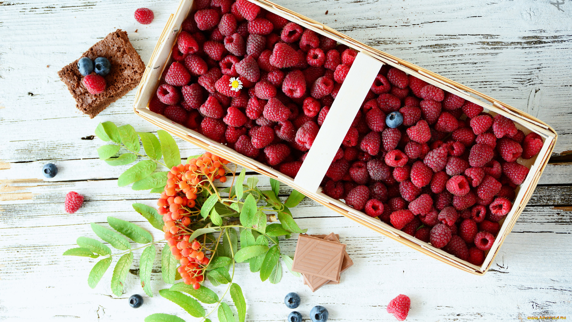 еда, фрукты, , ягоды, черника, шоколад, малина, ягоды, лукошко, рябина