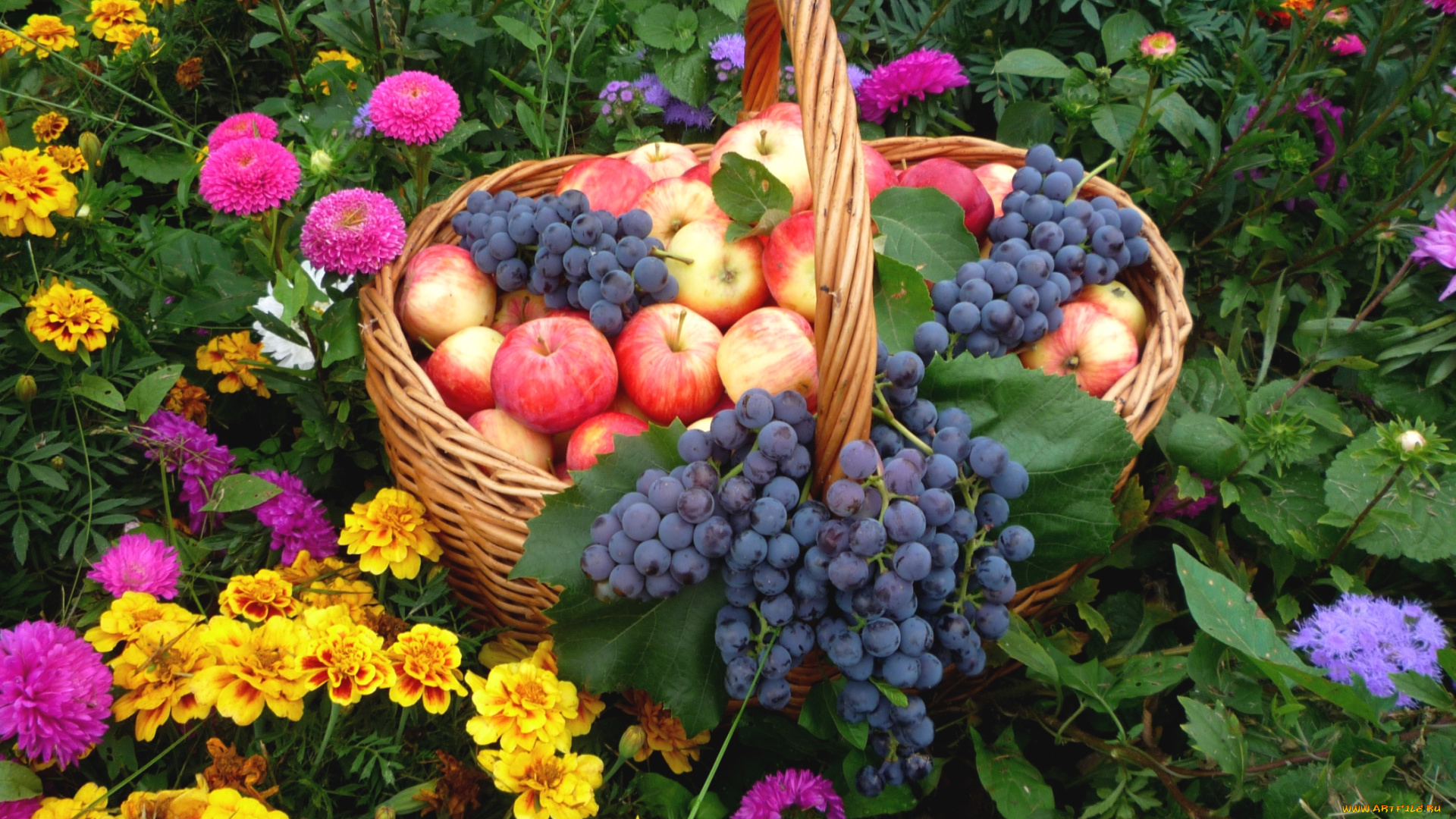 еда, фрукты, , ягоды, виноград, яблоки