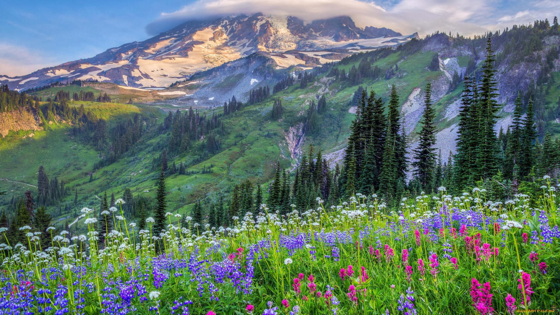 природа, луга, облака, холмы, сша, горы, деревья, цветы, поляна