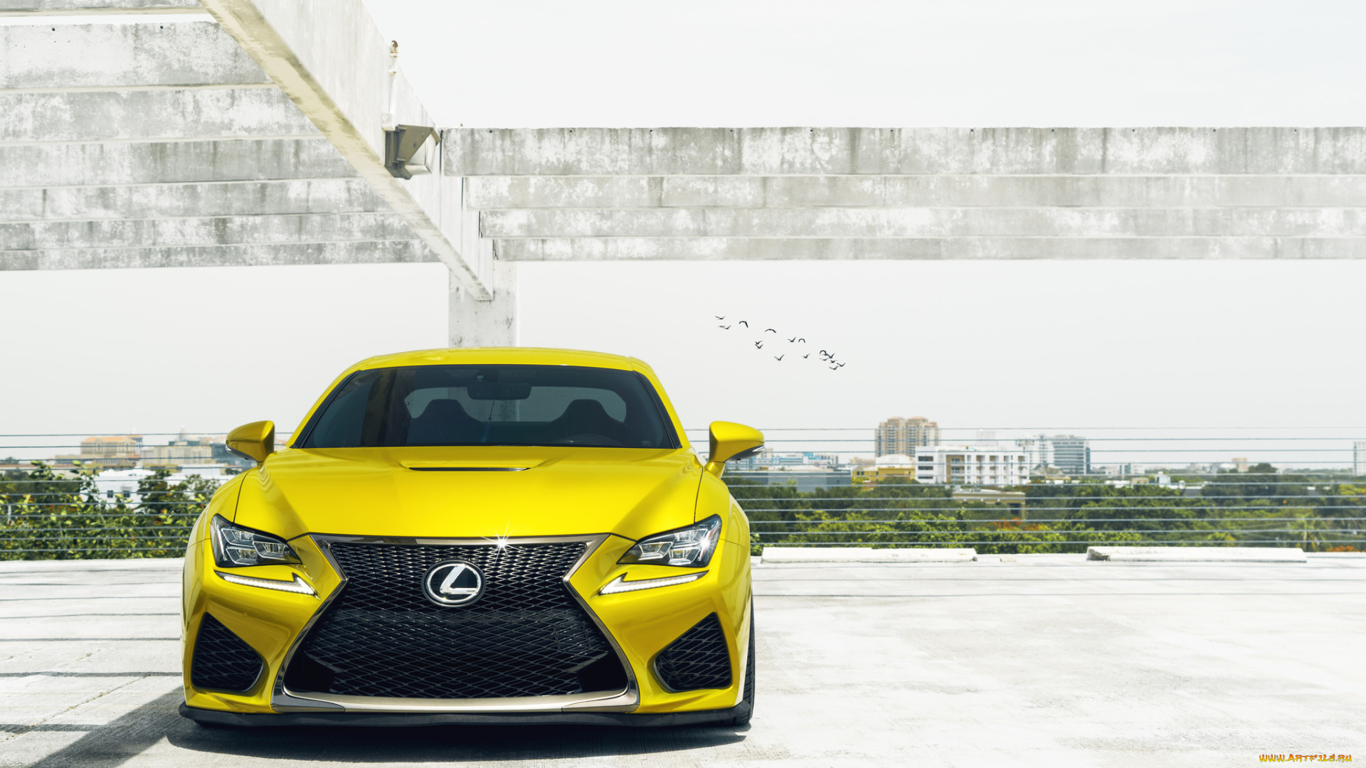 автомобили, lexus, yellow, rcf, жёлтый