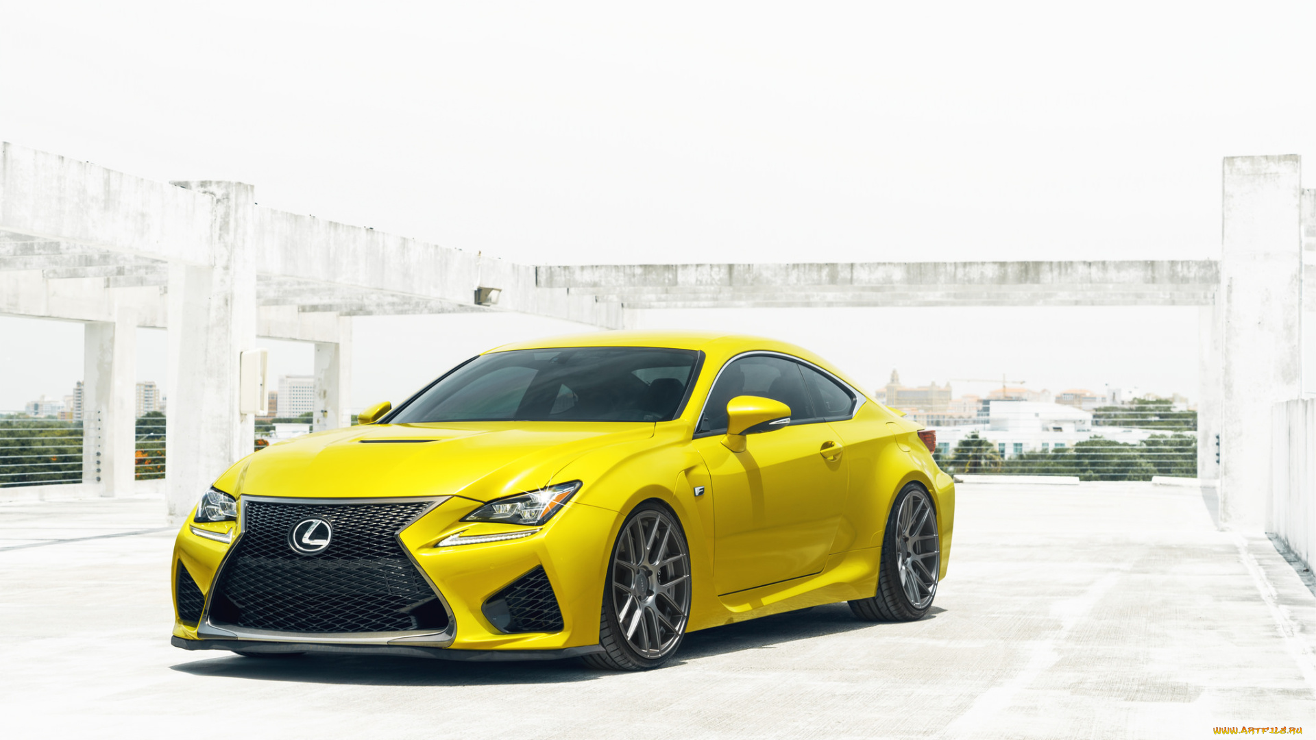 автомобили, lexus, yellow, rcf, жёлтый