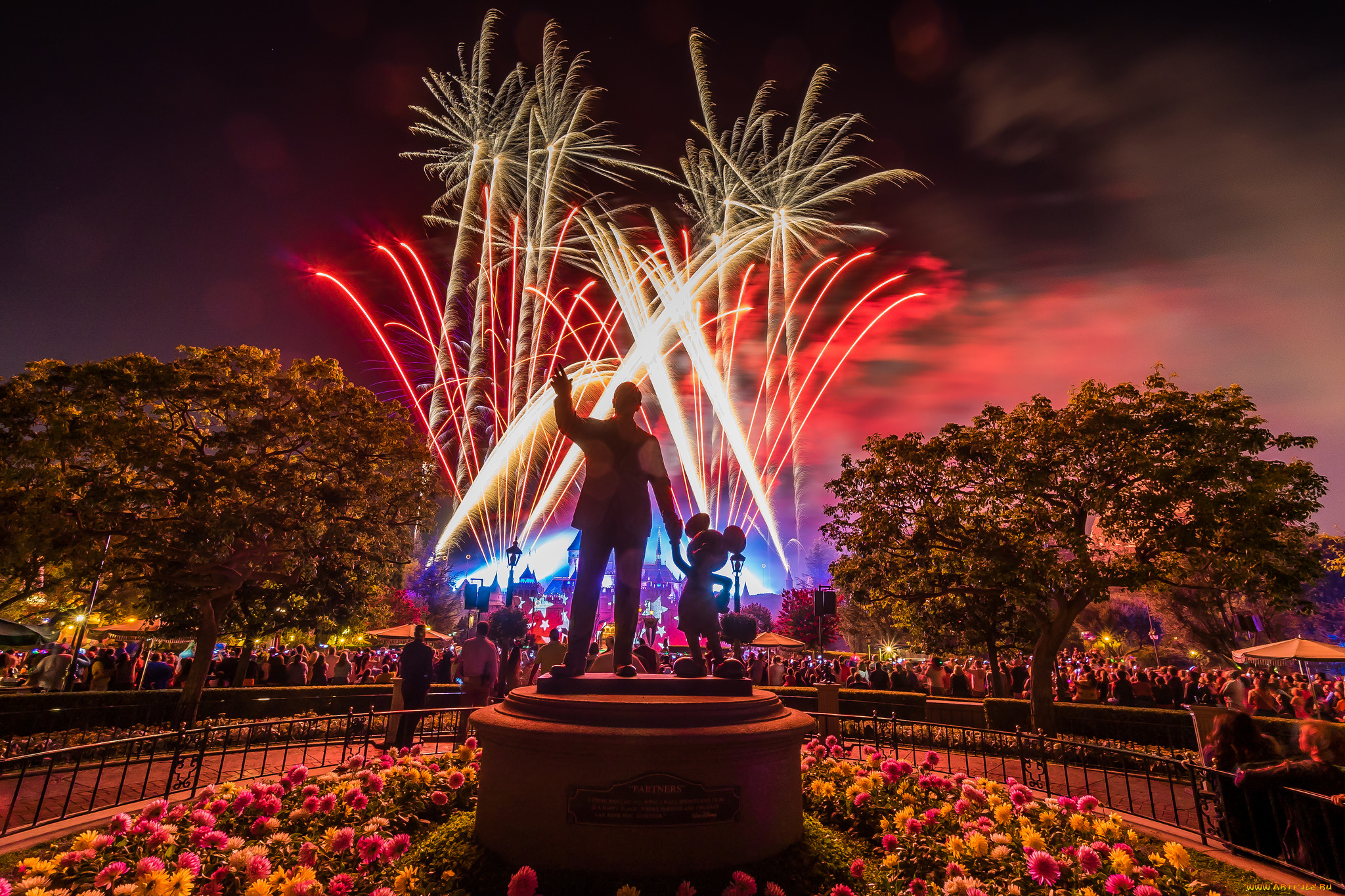города, диснейленд, фейерверк, ночь, парк