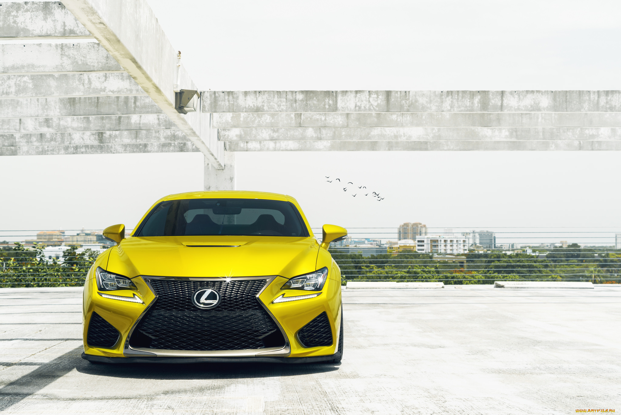 автомобили, lexus, yellow, rcf, жёлтый
