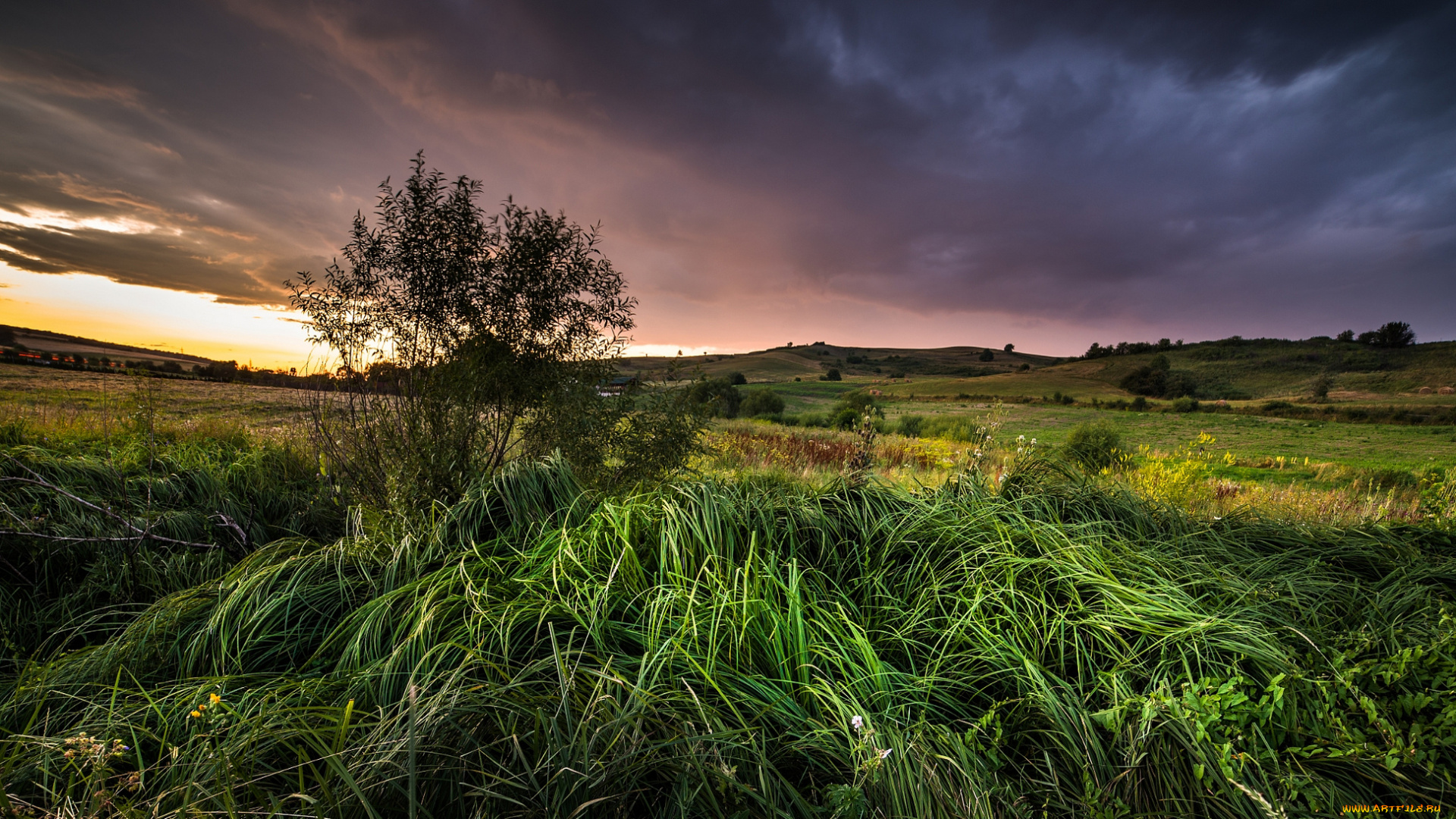 природа, пейзажи, простор