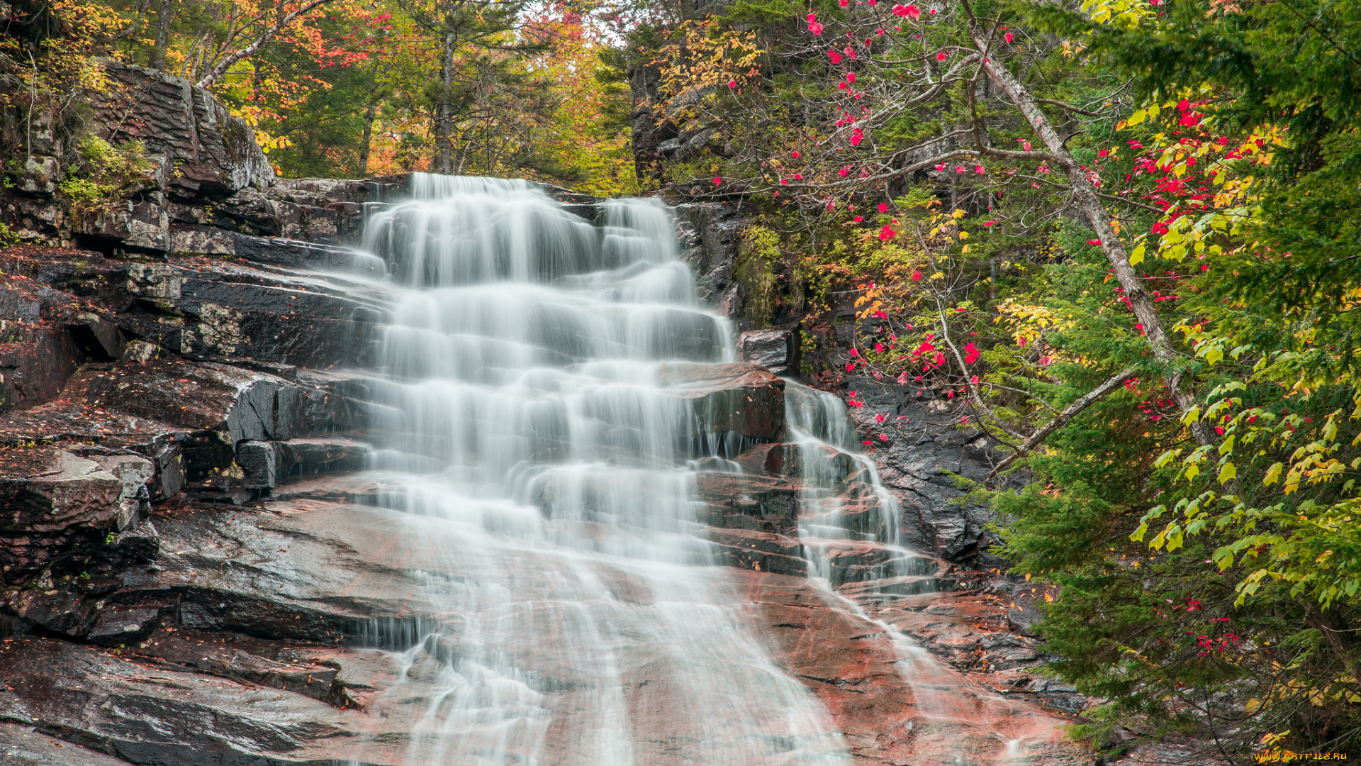 природа, водопады, лес, река, водопад