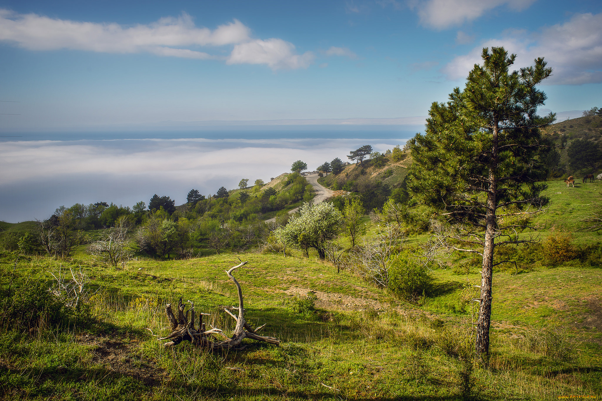 природа, пейзажи, простор
