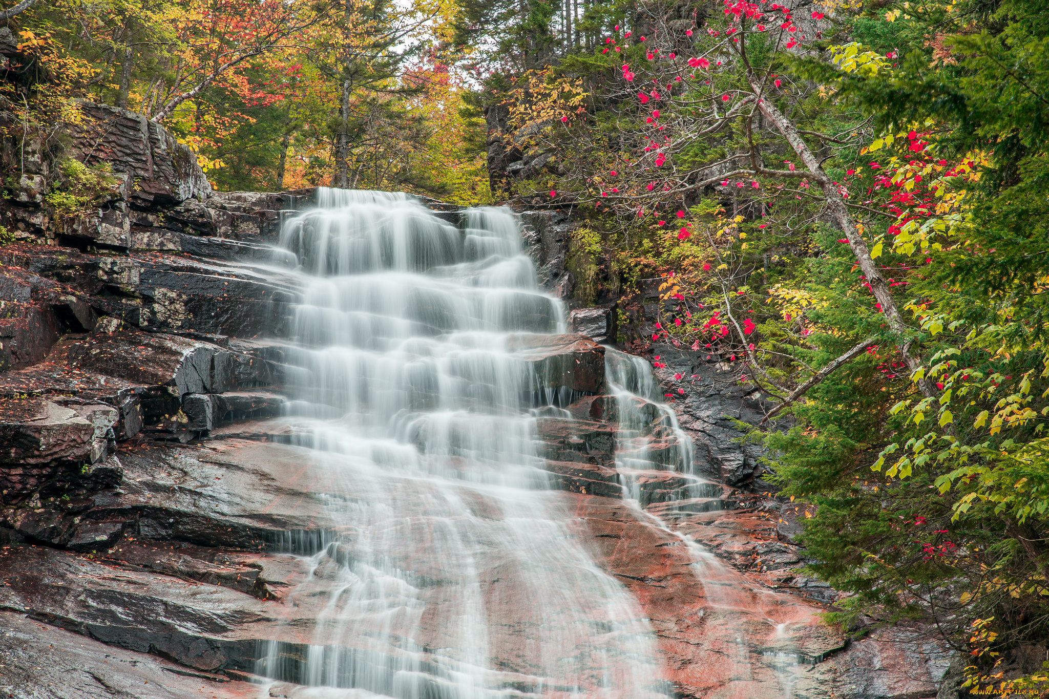 природа, водопады, лес, река, водопад