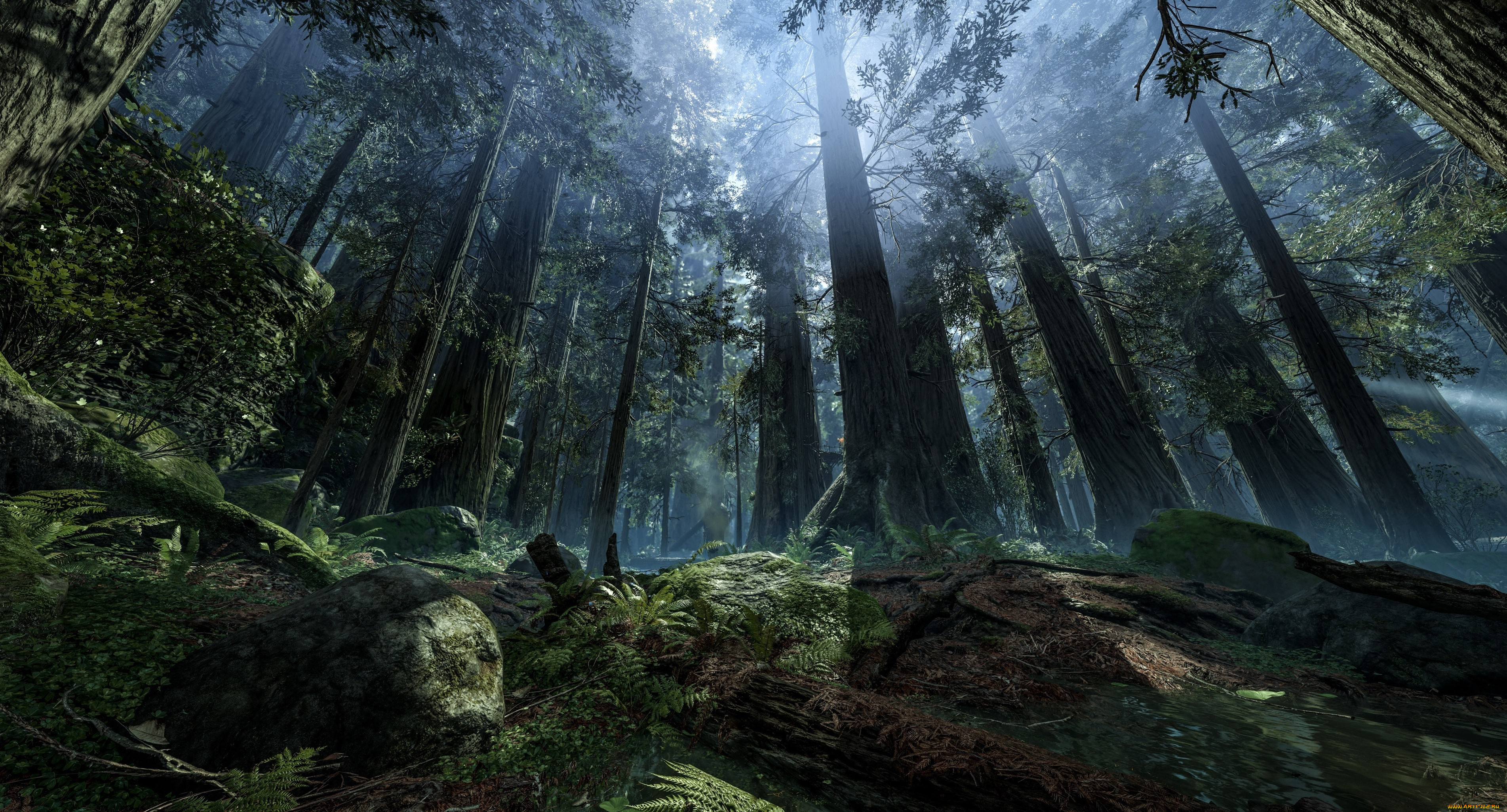 видео, игры, star, wars, , battlefront, лес