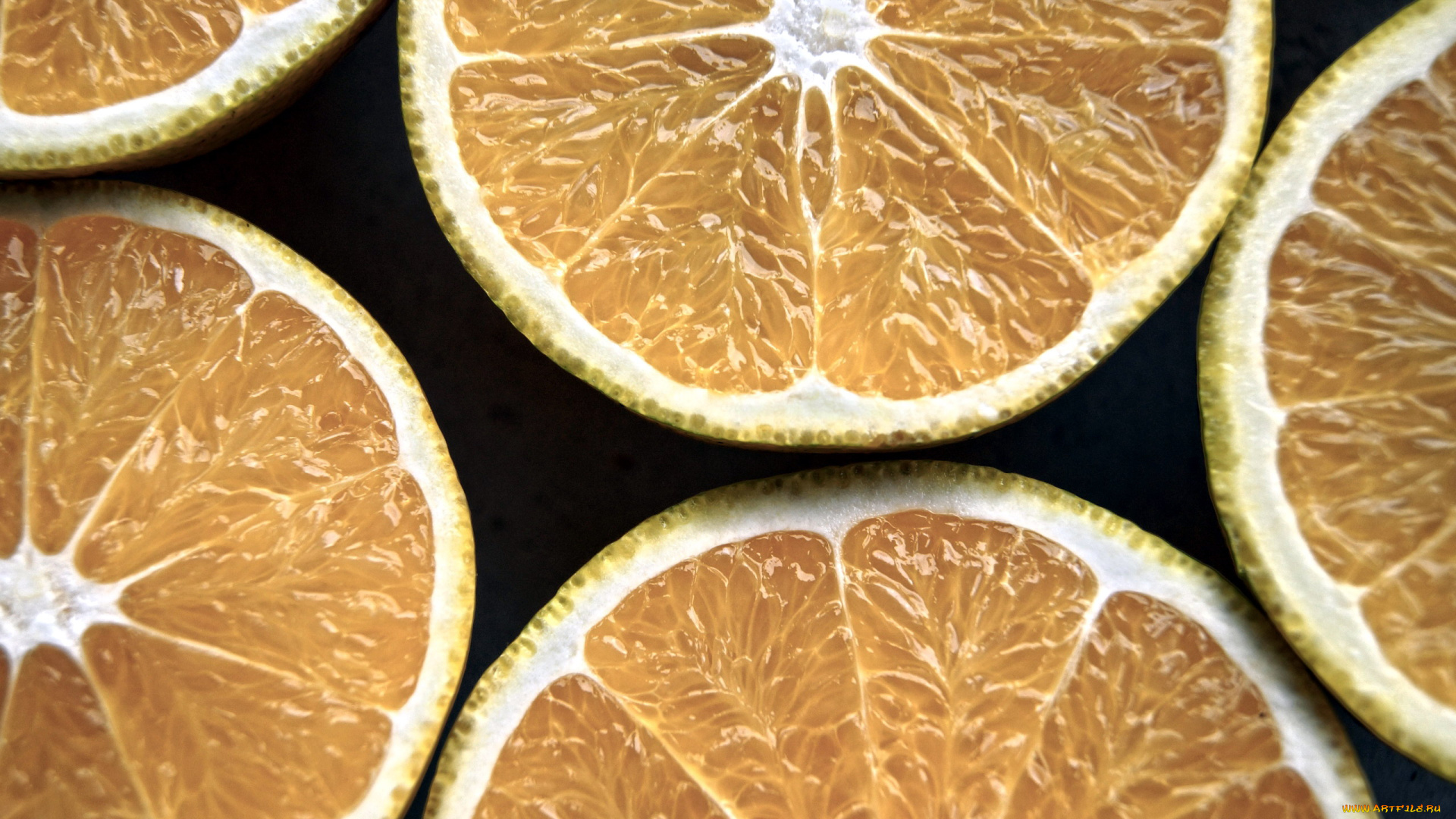 еда, цитрусы, макро, апельсины