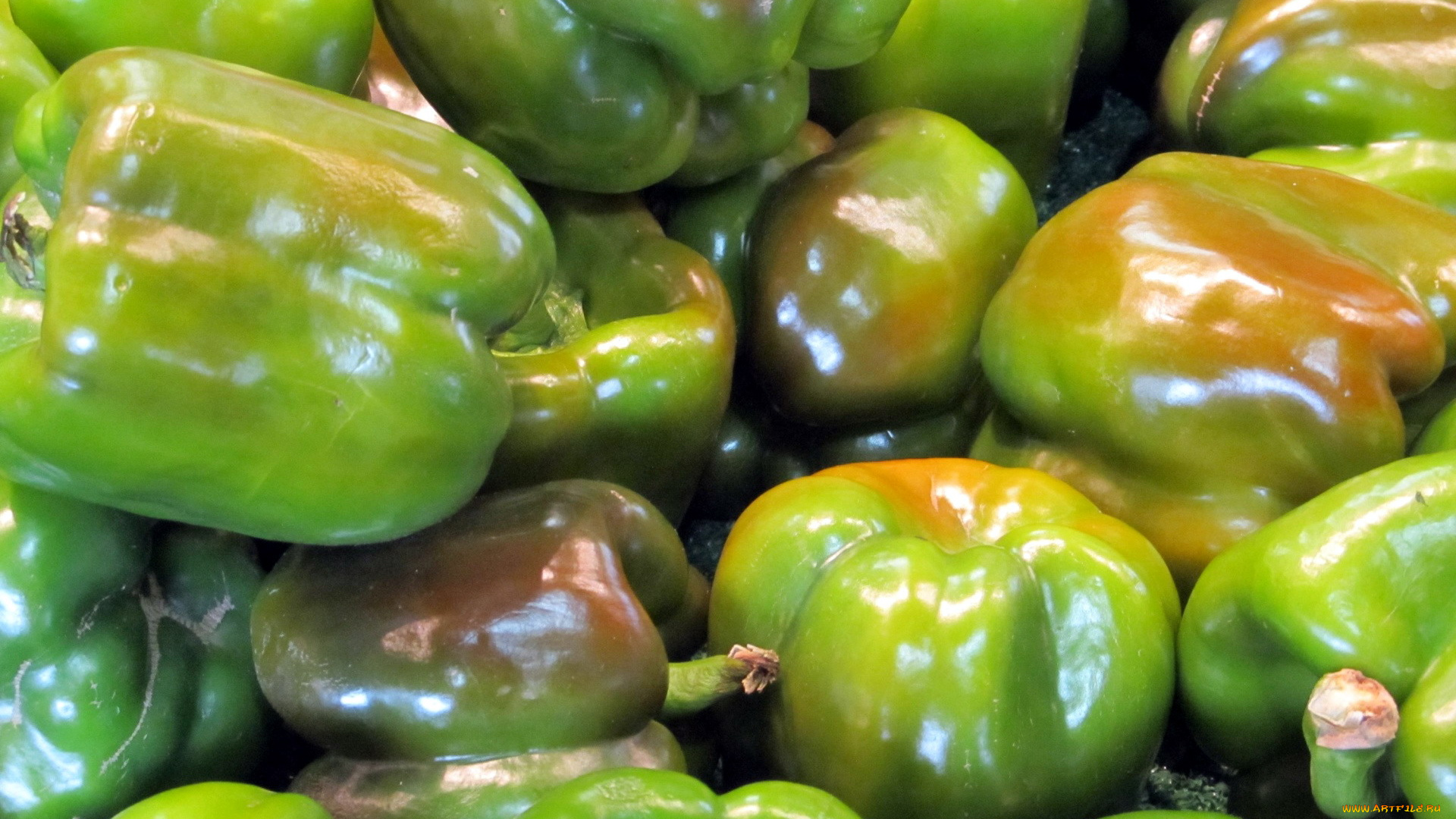 еда, перец, много, урожай, зеленый
