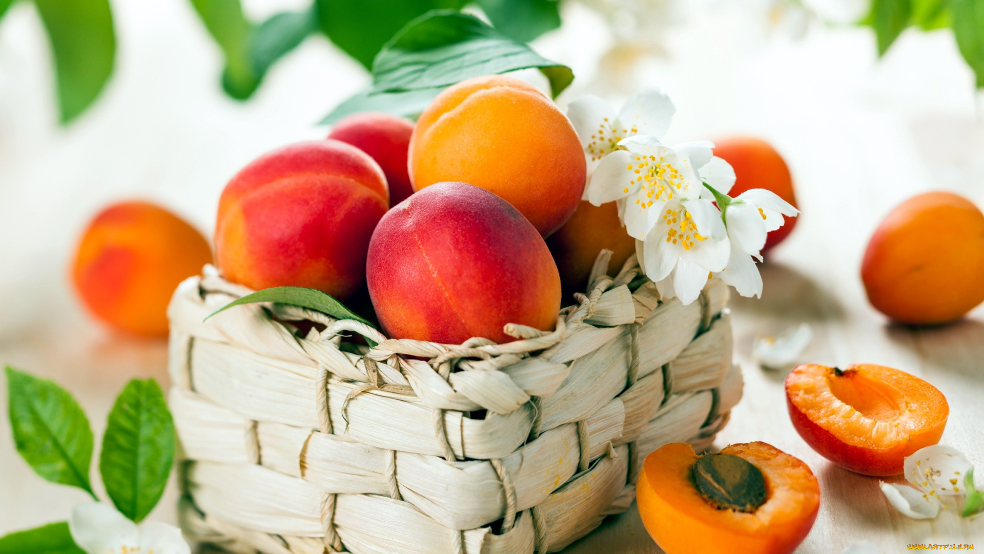 еда, персики, , сливы, , абрикосы, корзинка, жасмин