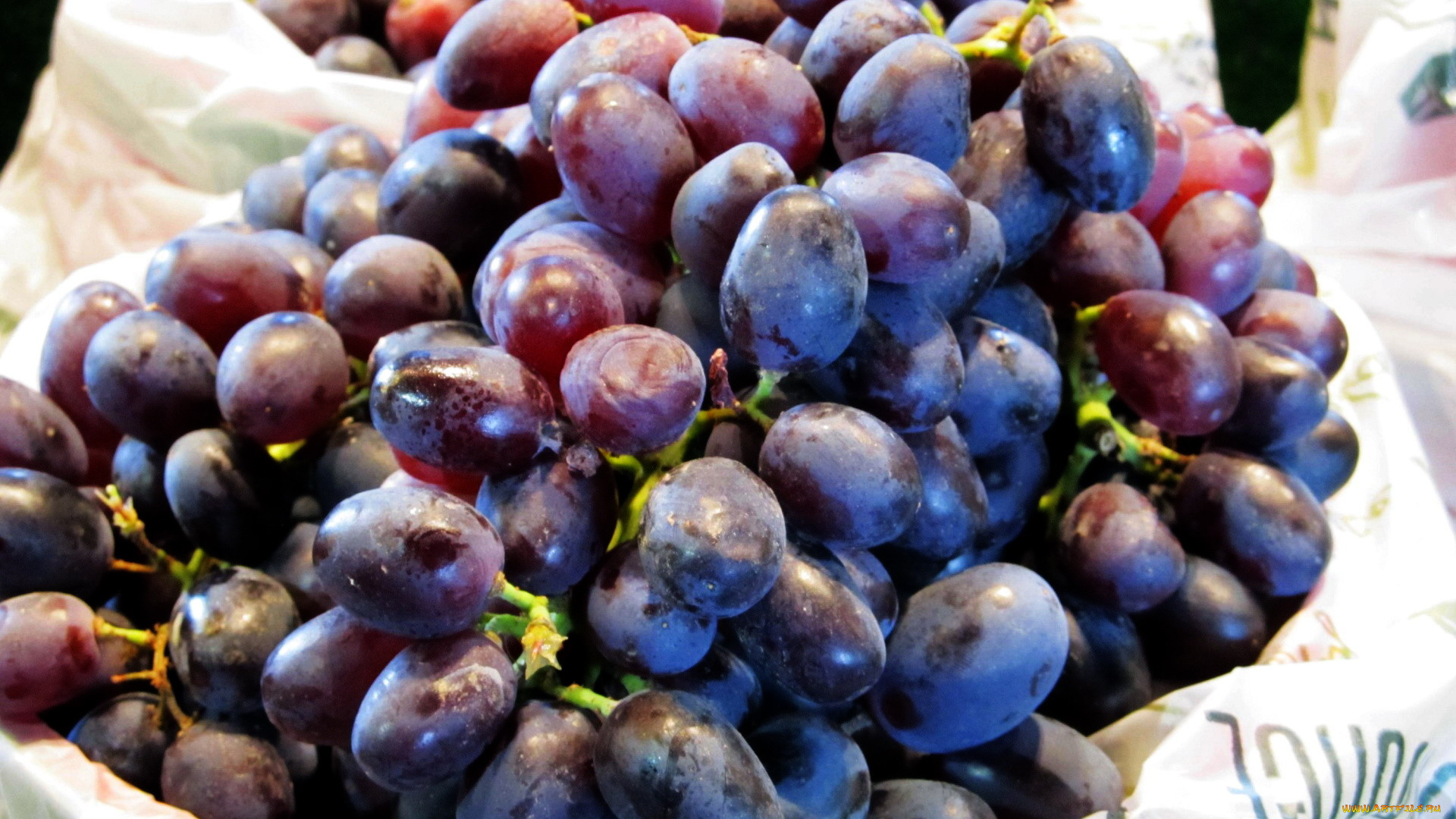еда, виноград, ягоды, спелый, гроздь