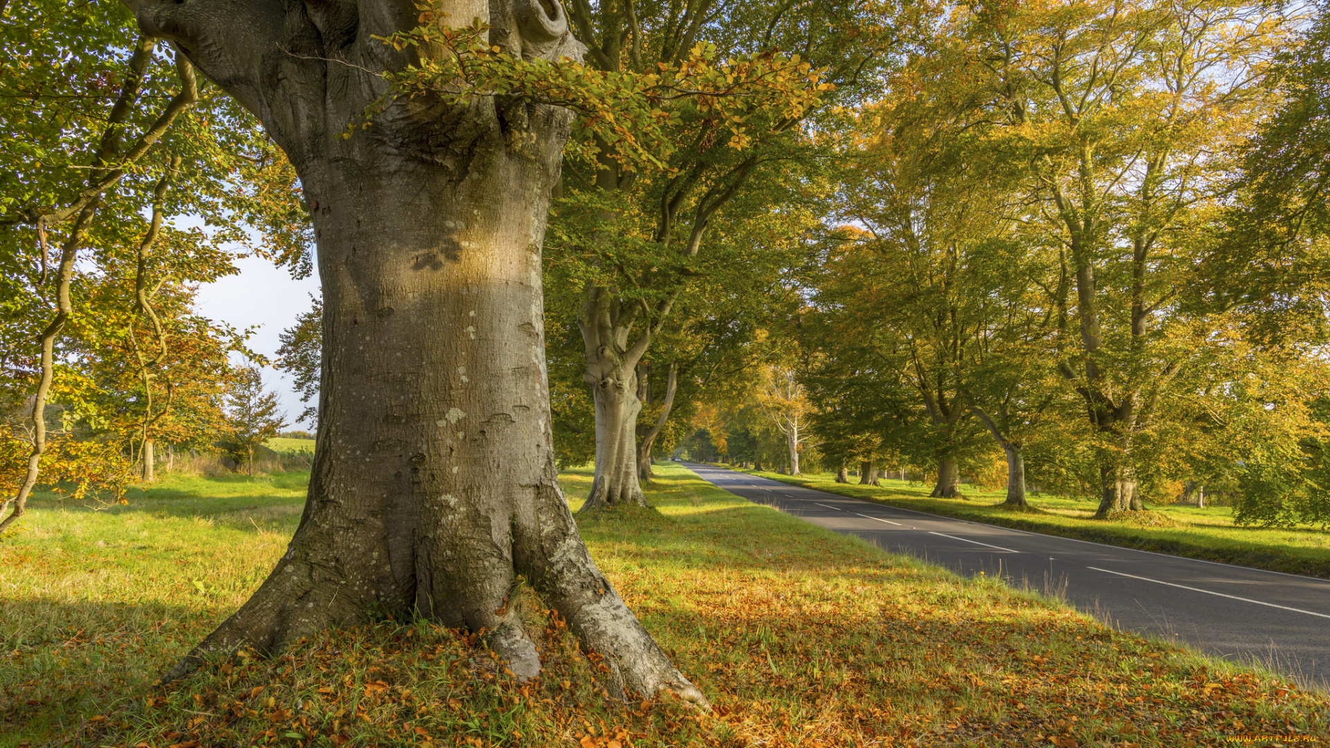 природа, дороги, простор
