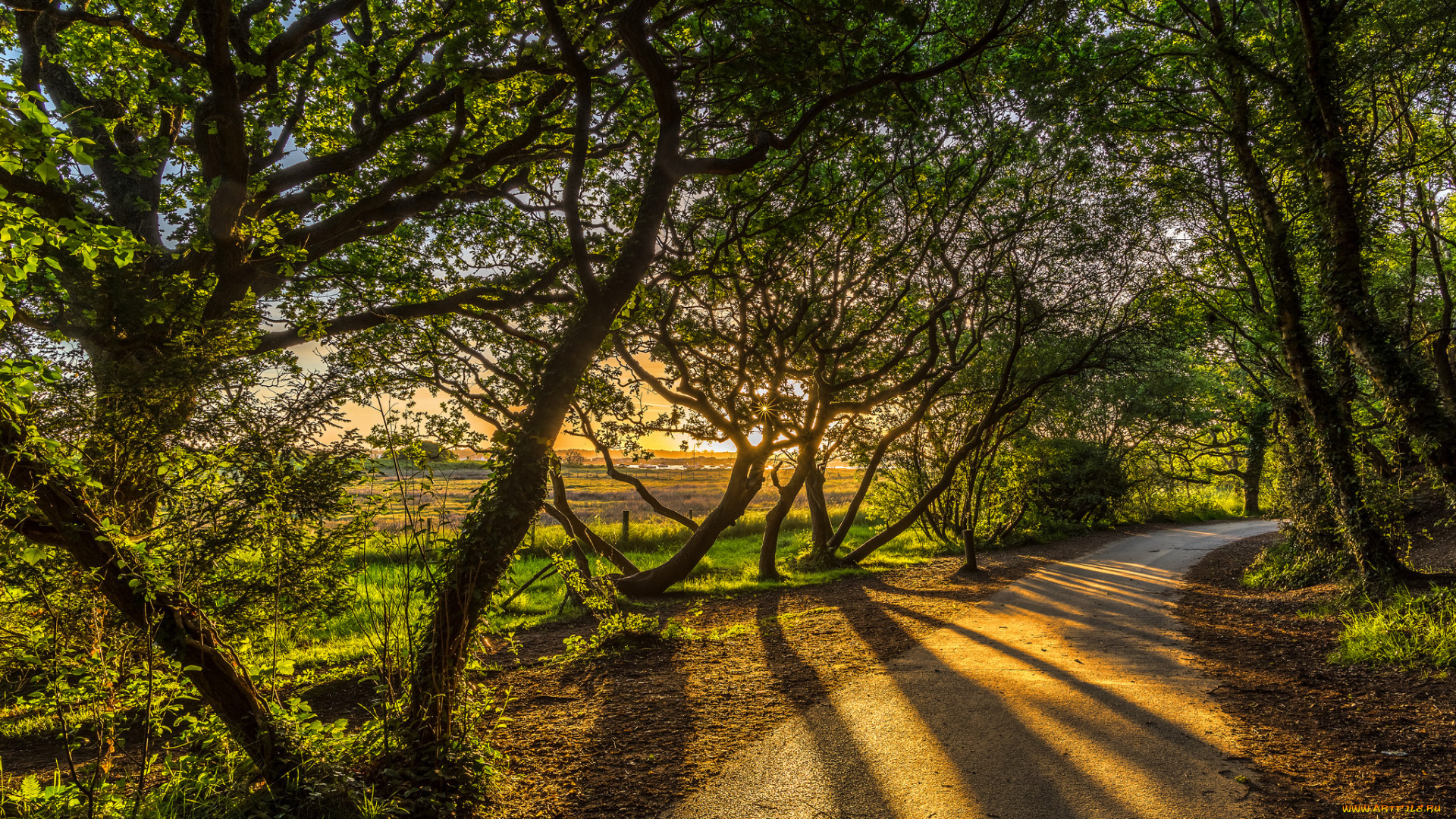 природа, дороги, рассвет