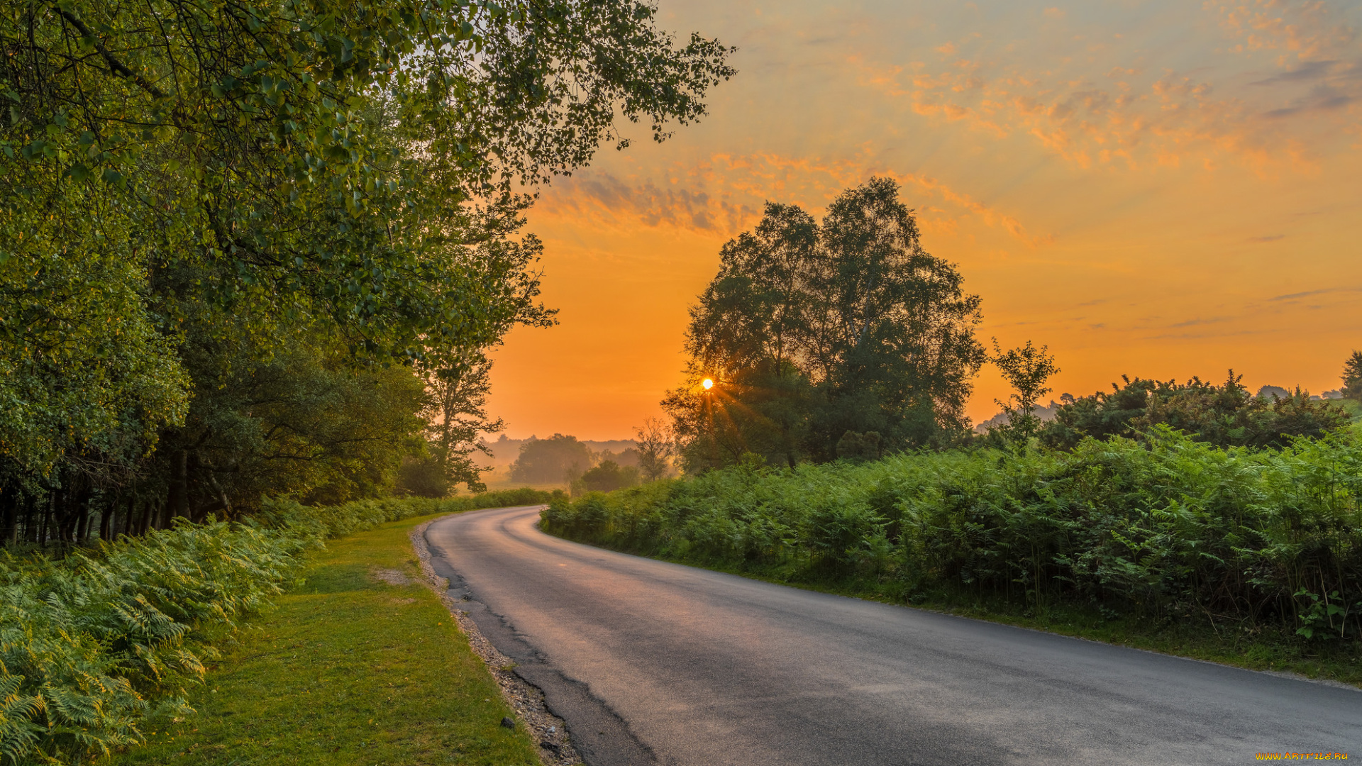 природа, дороги, рассвет