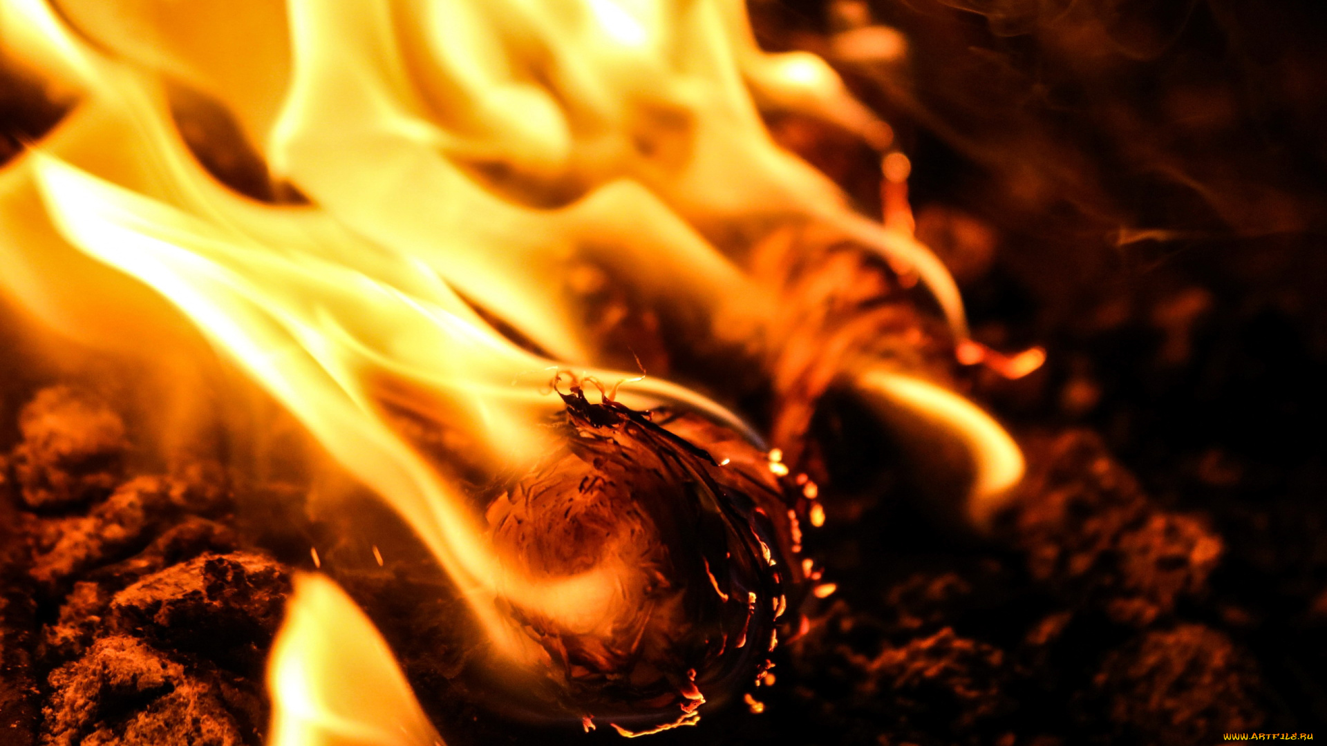 природа, огонь, пламя