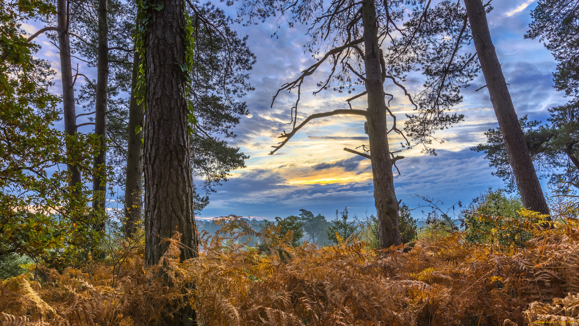 природа, пейзажи, простор