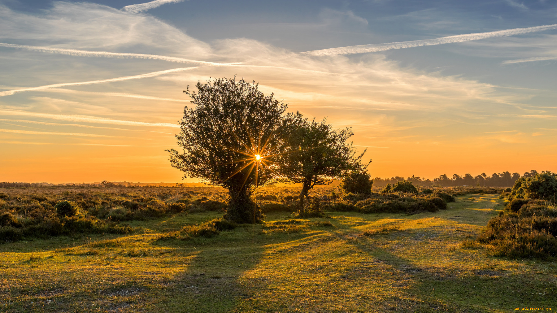 природа, пейзажи, рассвет