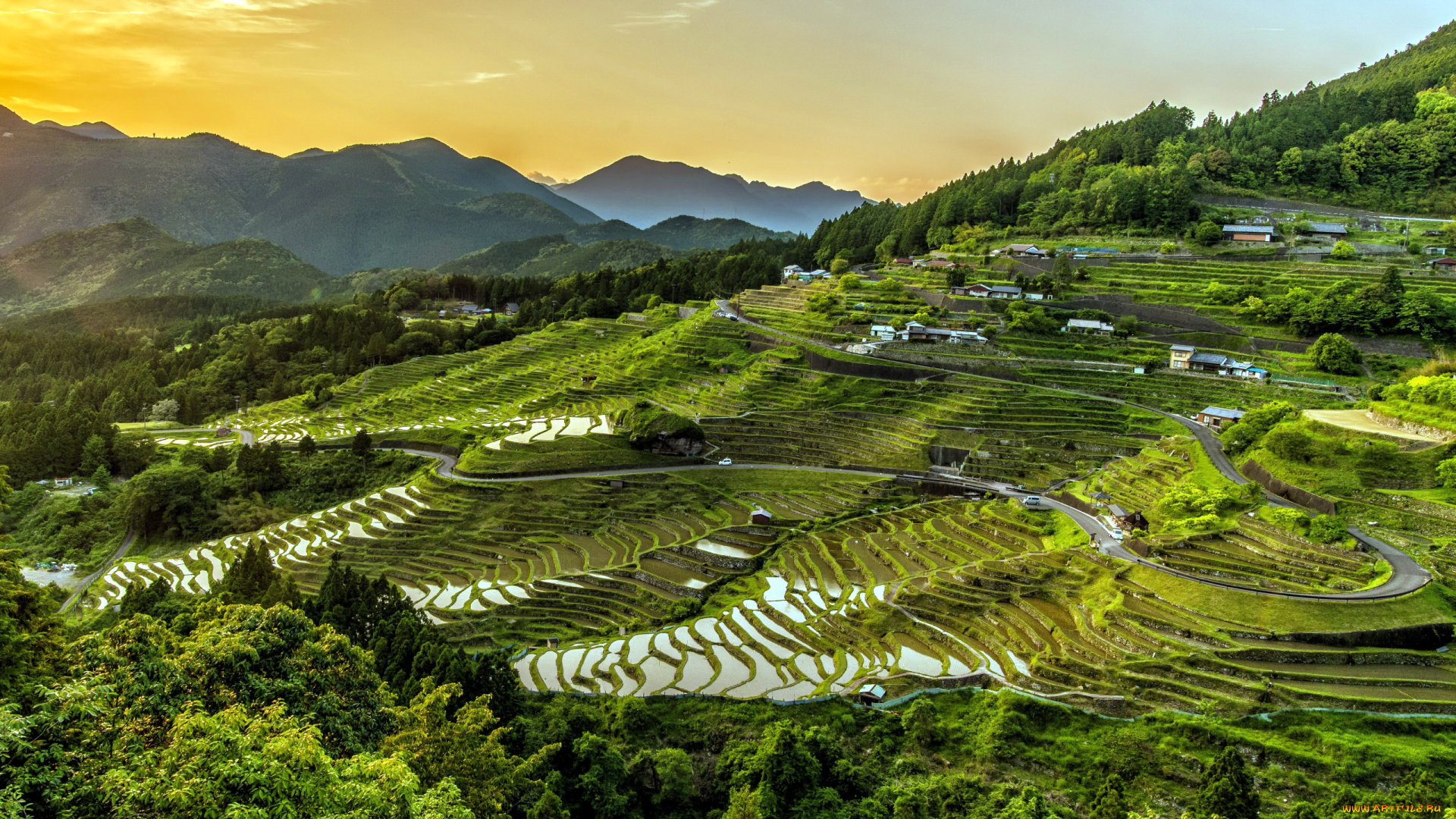 природа, поля, горы, террасы, рисовые