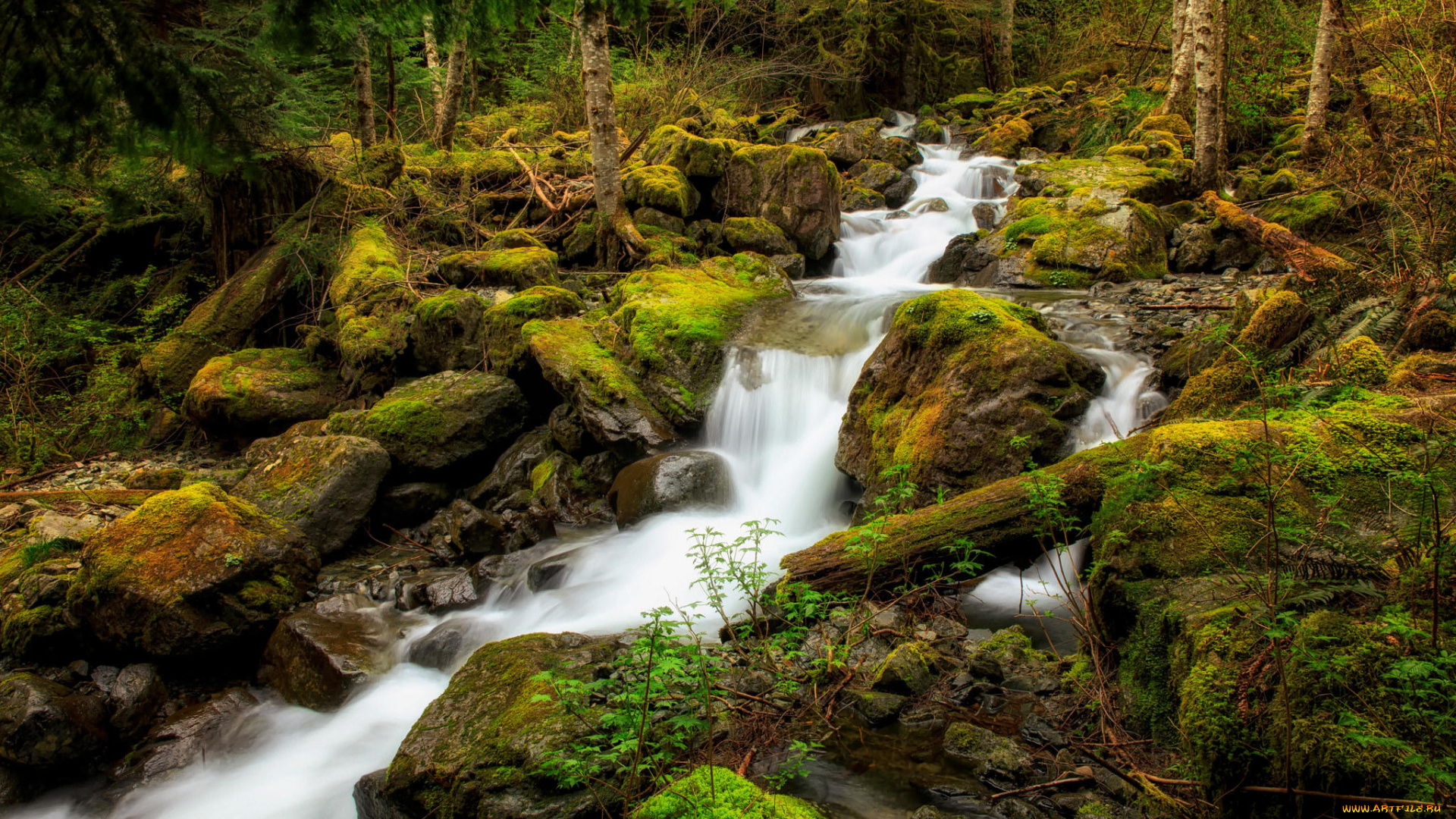 природа, реки, озера, камни, лес, речка, водопад