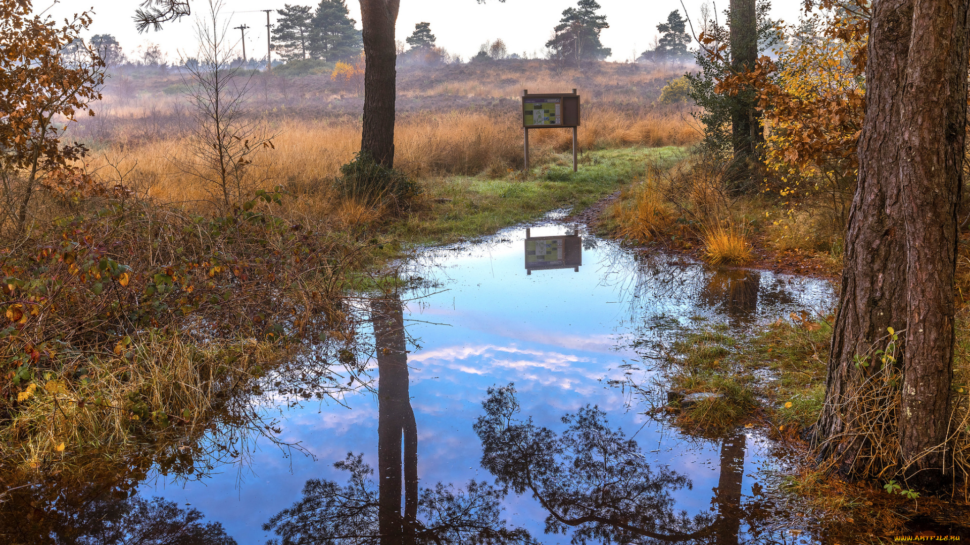 природа, реки, озера, простор