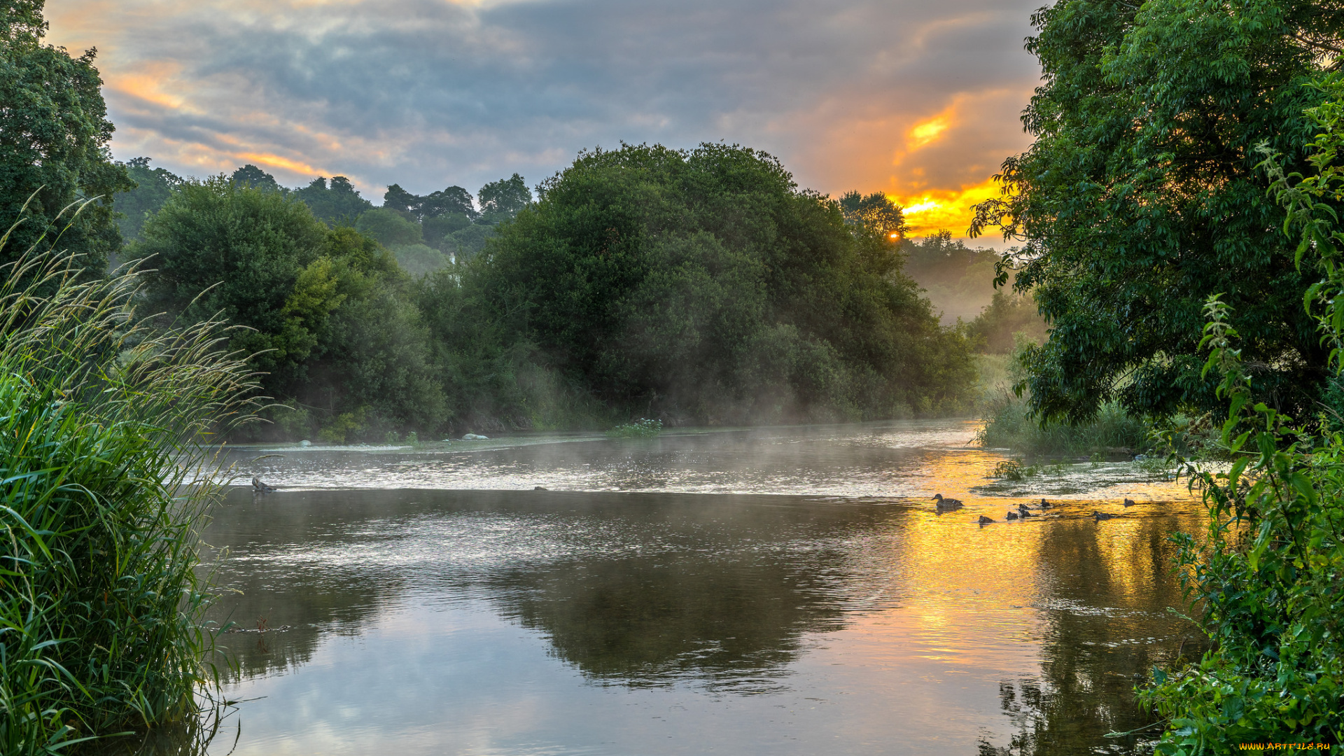 природа, реки, озера, рассвет