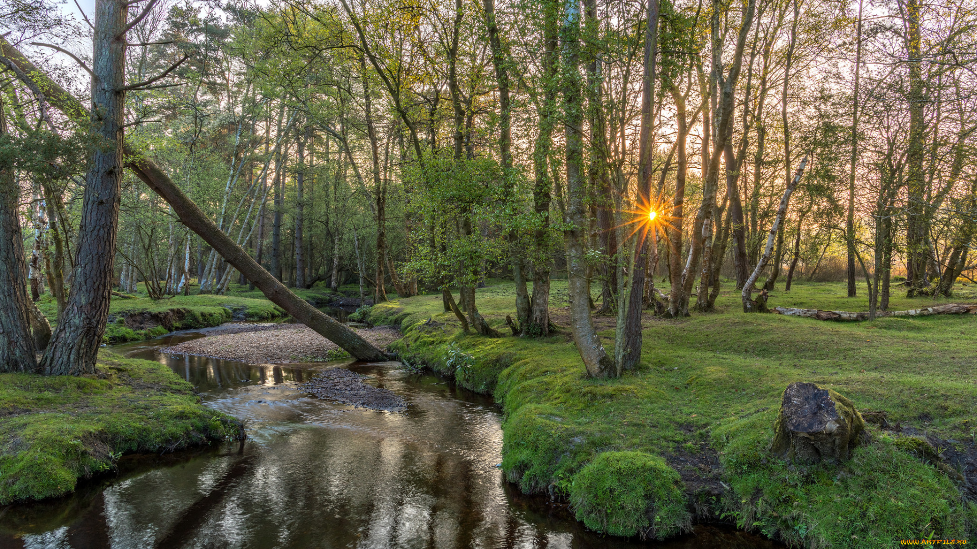 природа, реки, озера, рассвет