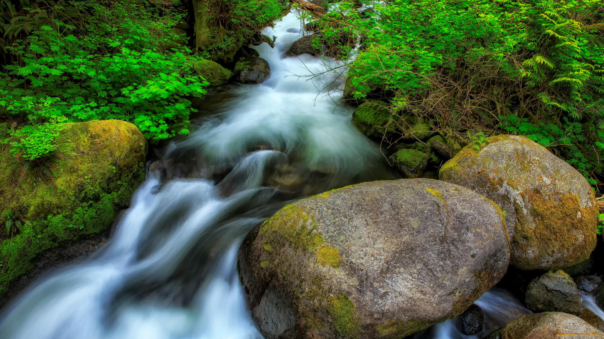 природа, реки, озера, речка, лес, камни, водопад