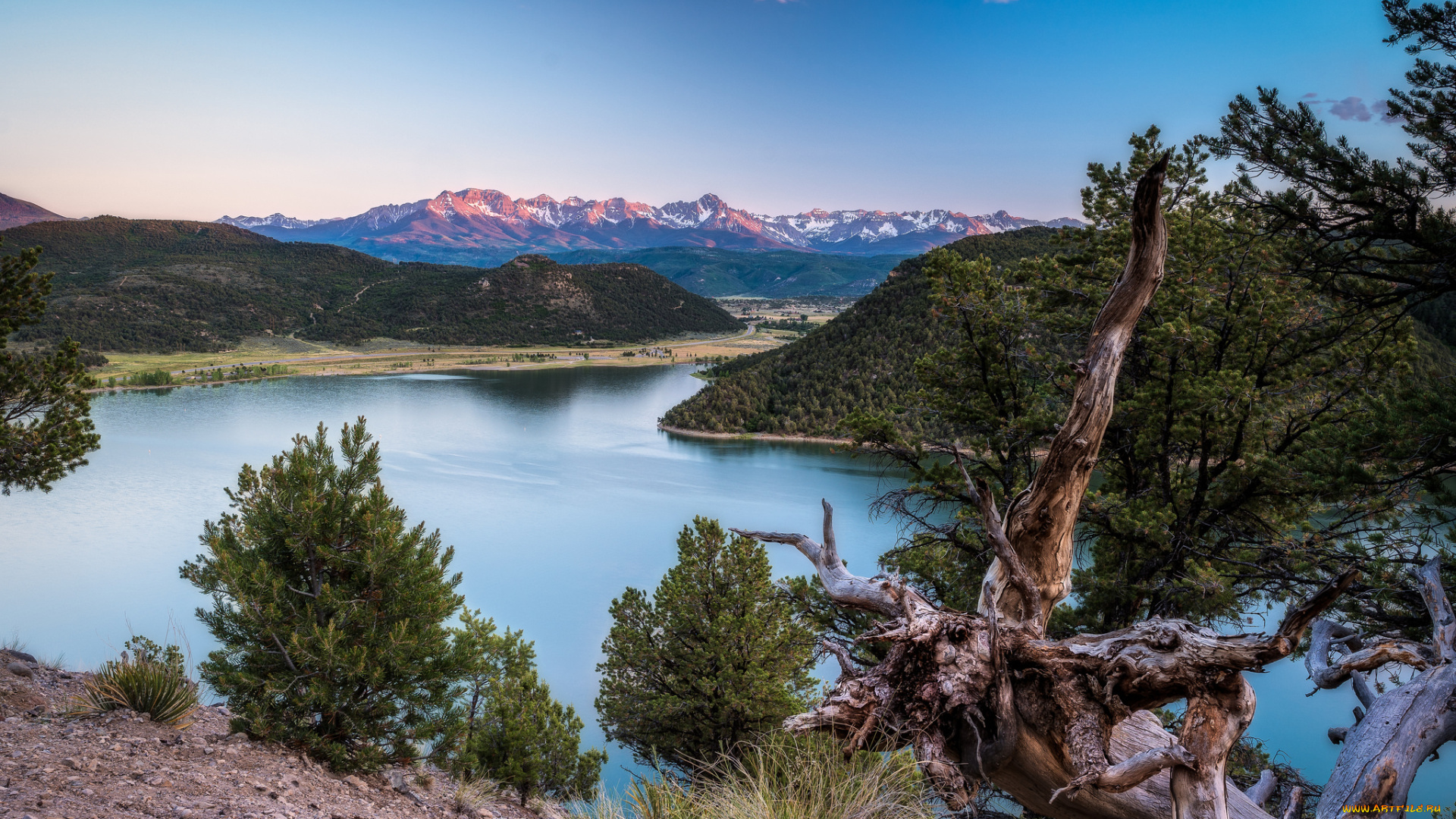 природа, реки, озера, река, лес