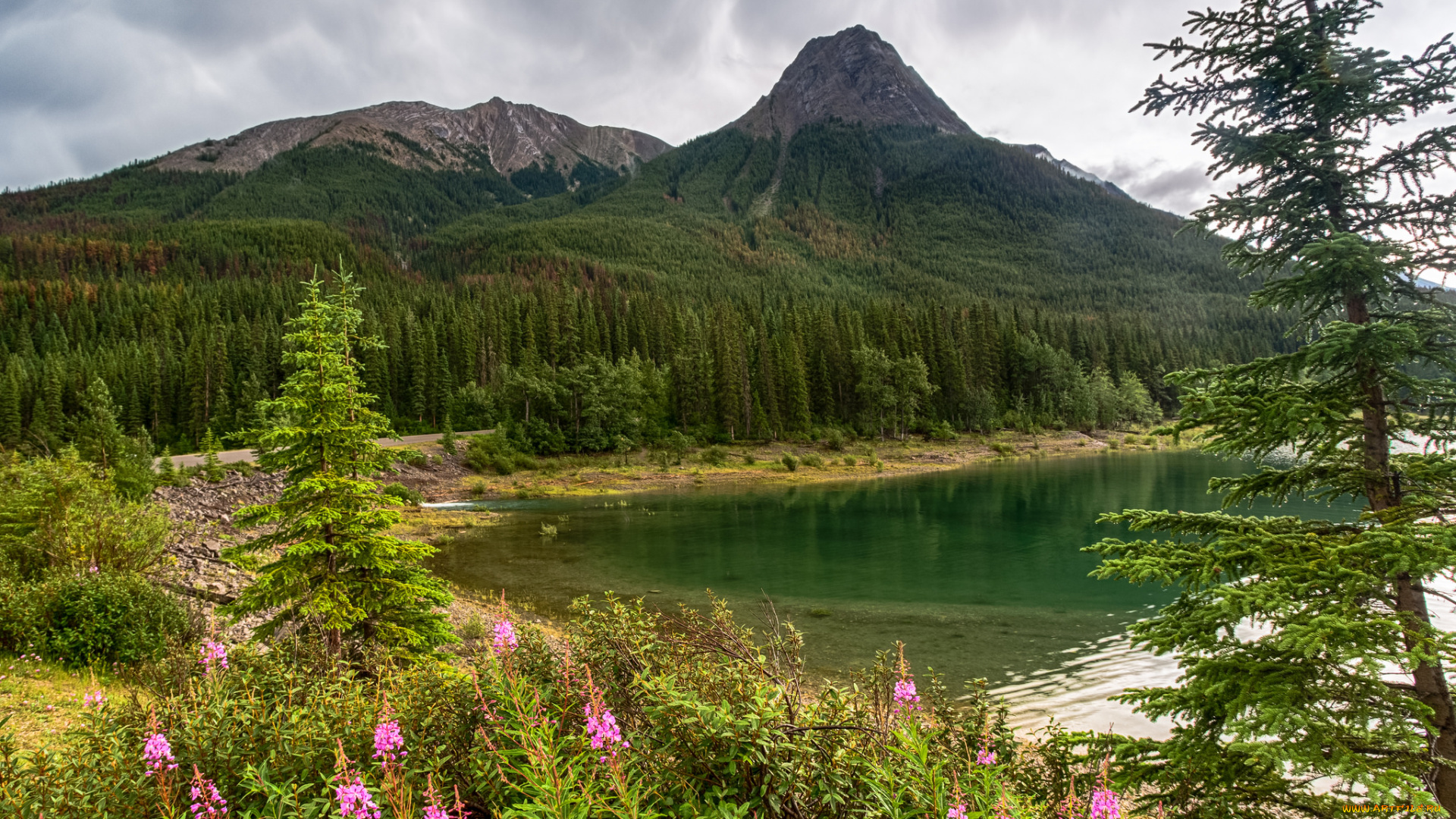 природа, реки, озера, река, лес