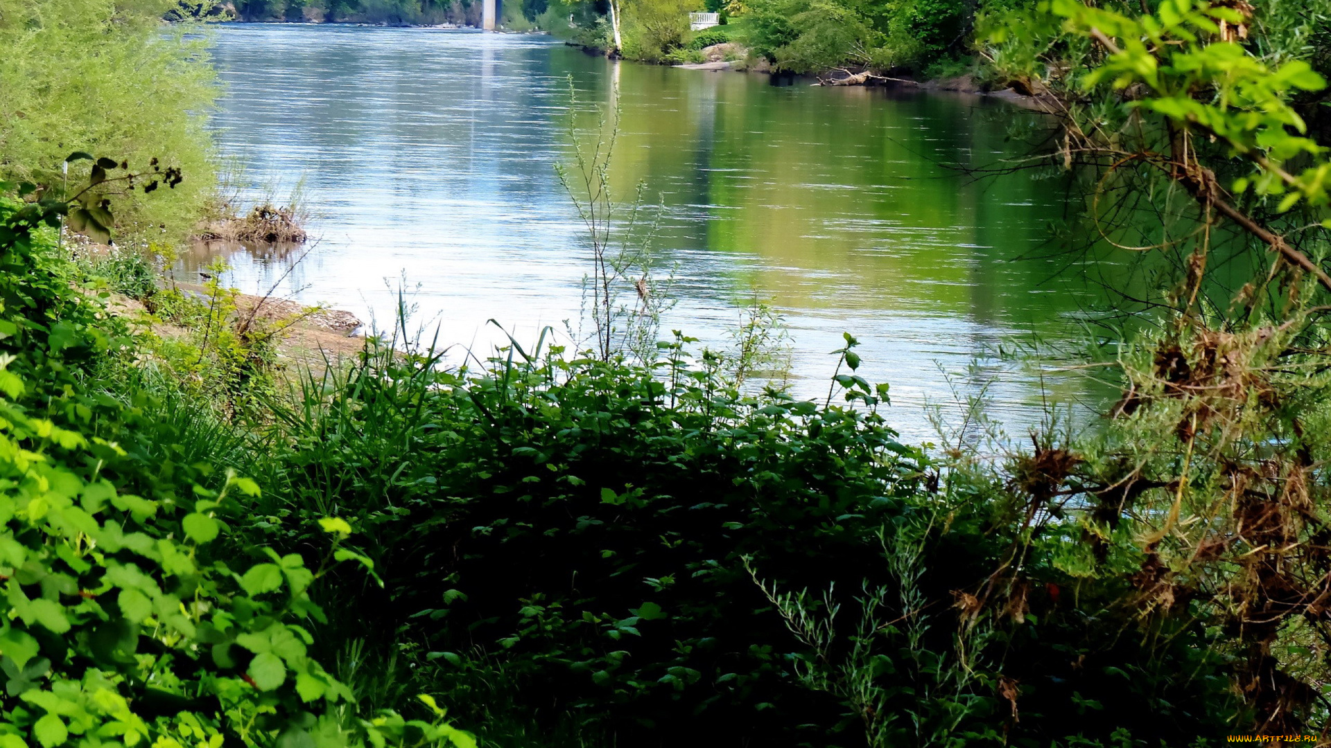 природа, реки, озера, зелень, лето, река, вода