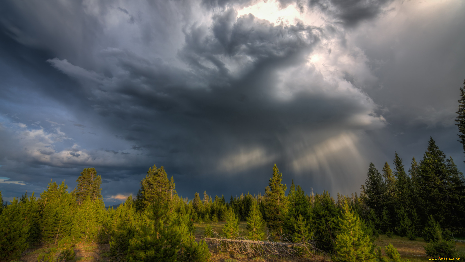 природа, стихия, простор