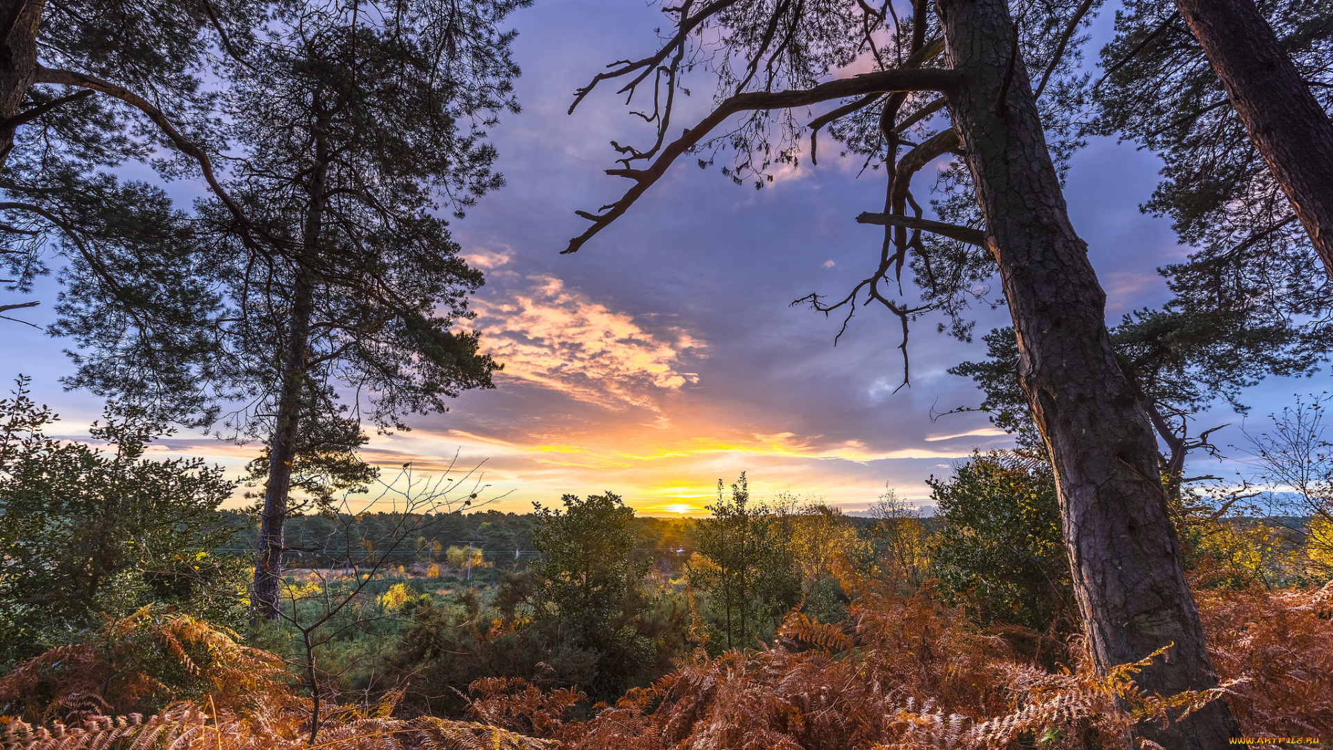 природа, восходы, закаты, простор