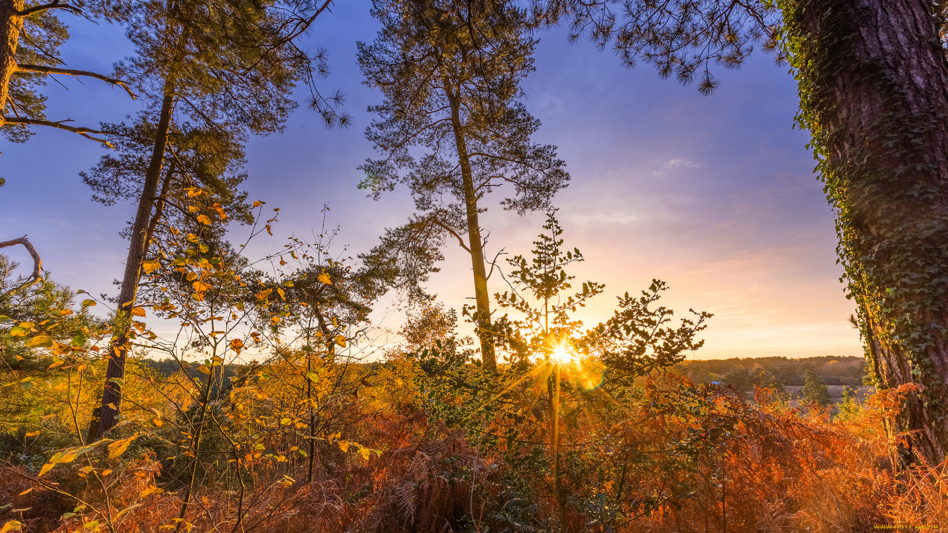 природа, восходы, закаты, простор