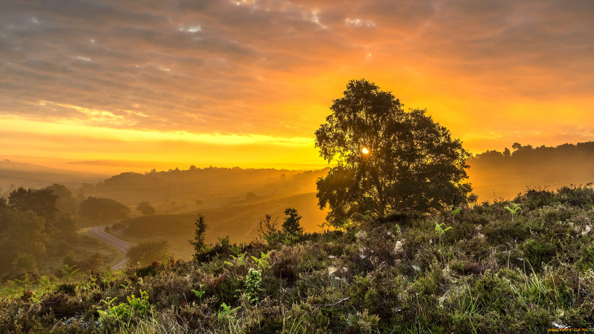 природа, восходы, закаты, рассвет