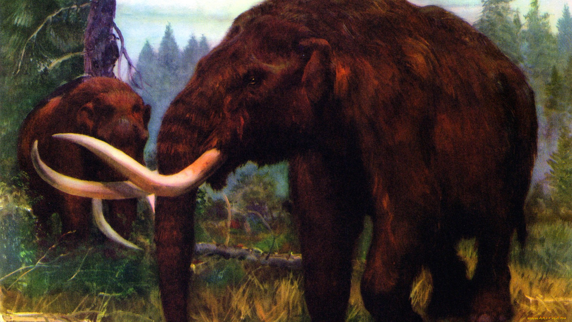 рисованное, животные, растения, деревья, мамонт