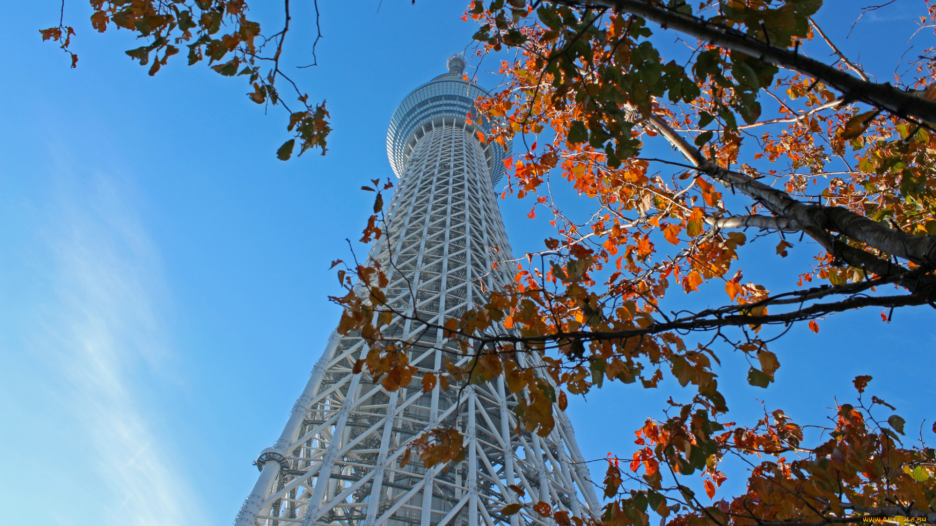 tokyo, города, токио, , Япония, небоскребы, панорама