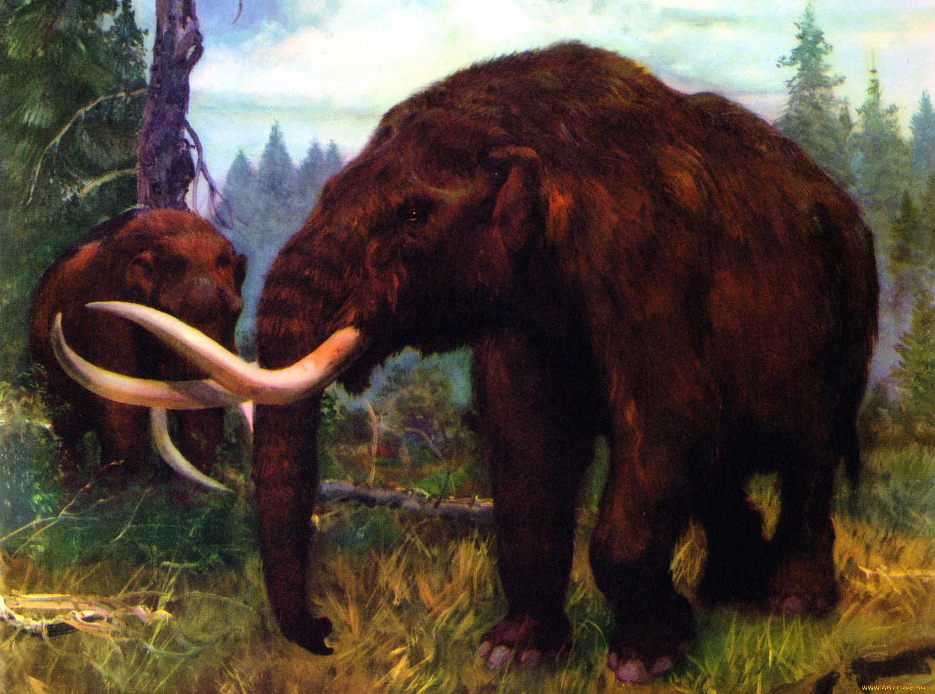рисованное, животные, растения, деревья, мамонт