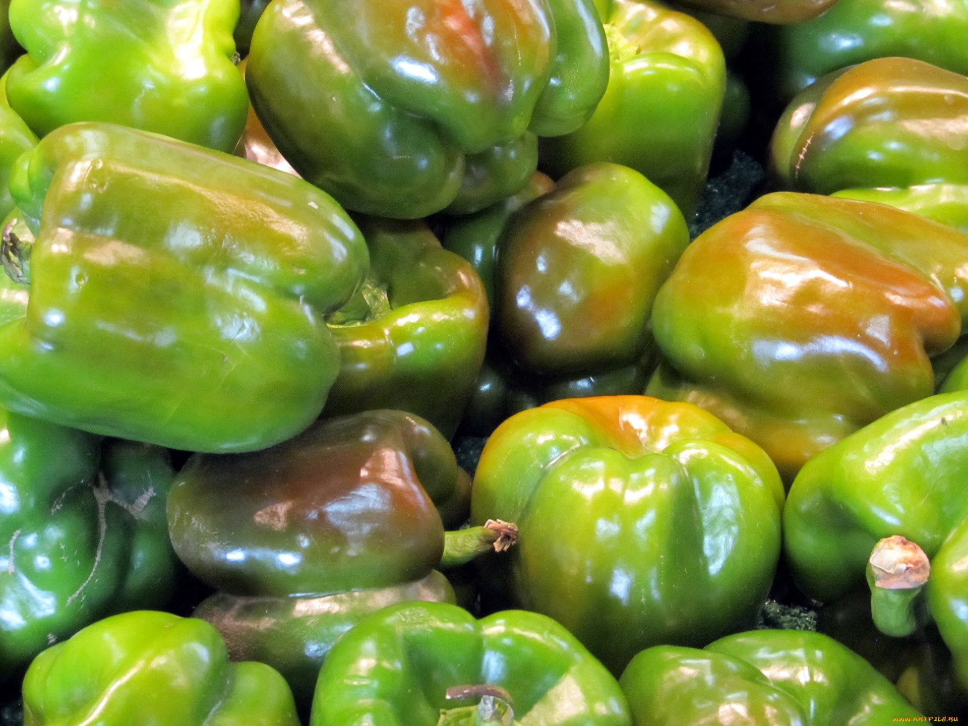 еда, перец, много, урожай, зеленый