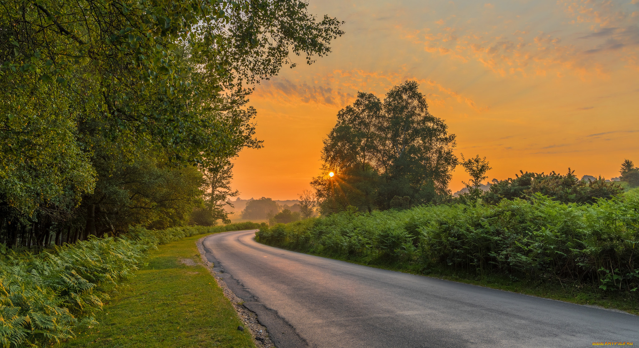 природа, дороги, рассвет
