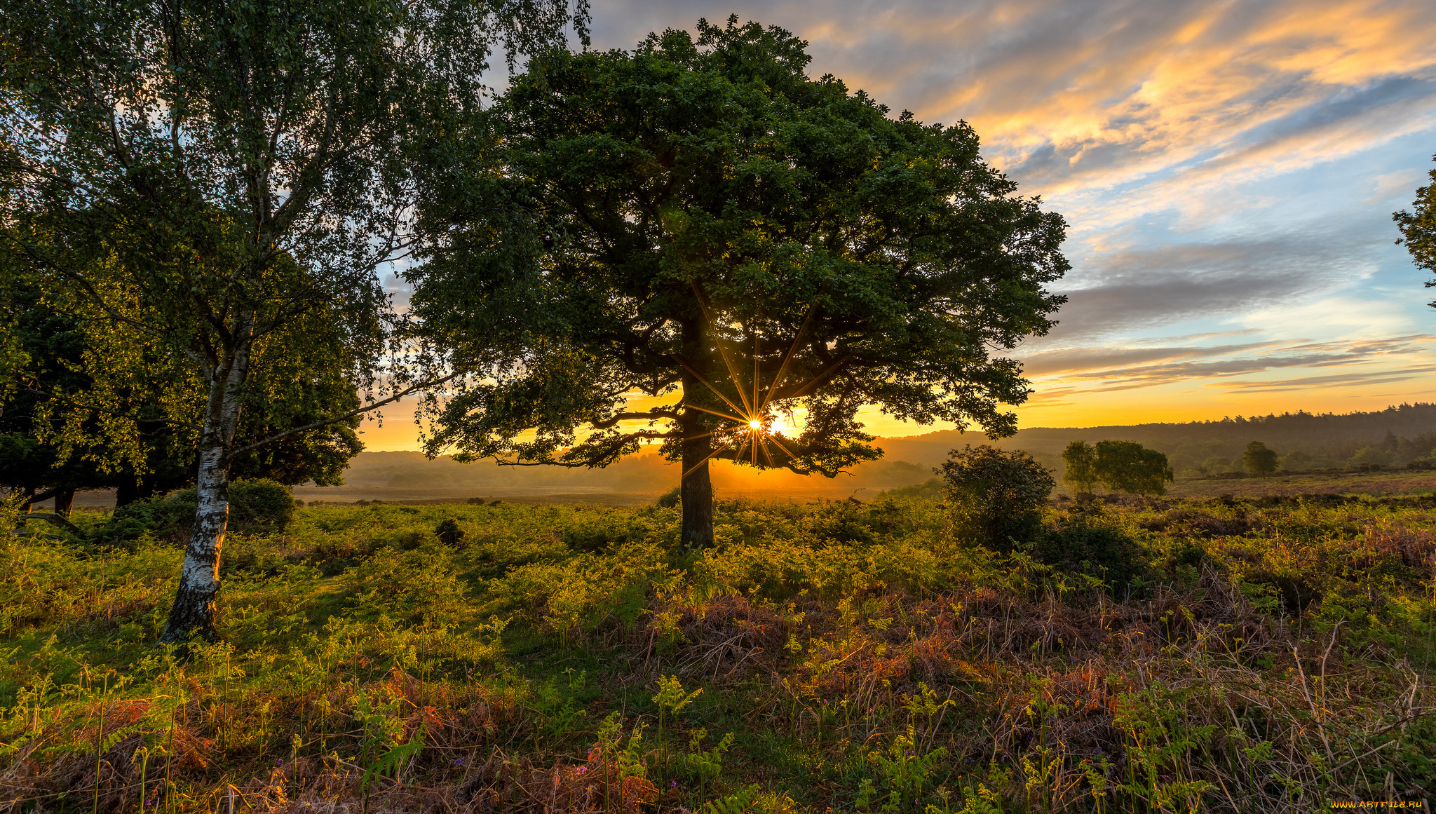 природа, восходы, закаты, рассвет