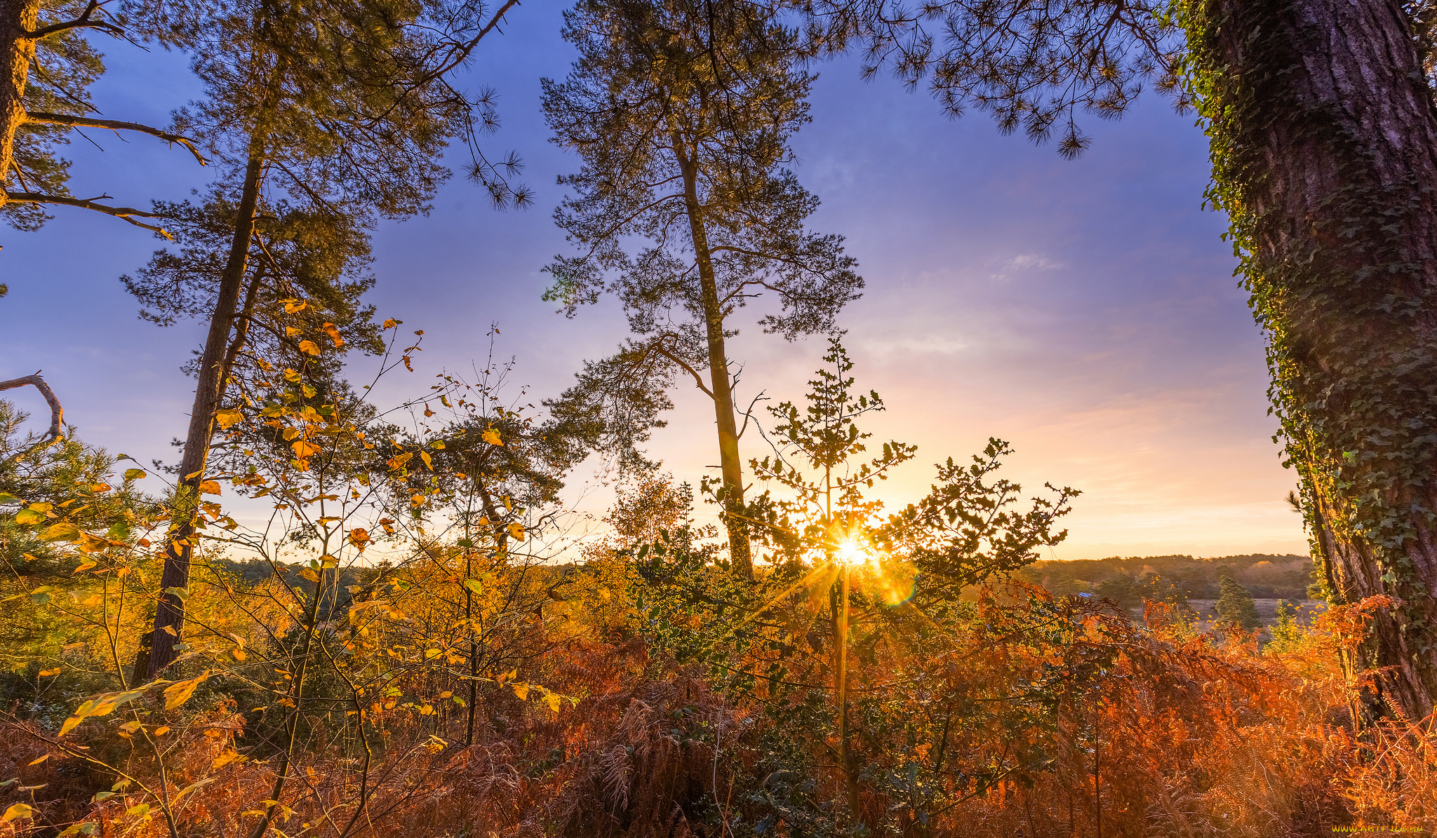 природа, восходы, закаты, простор