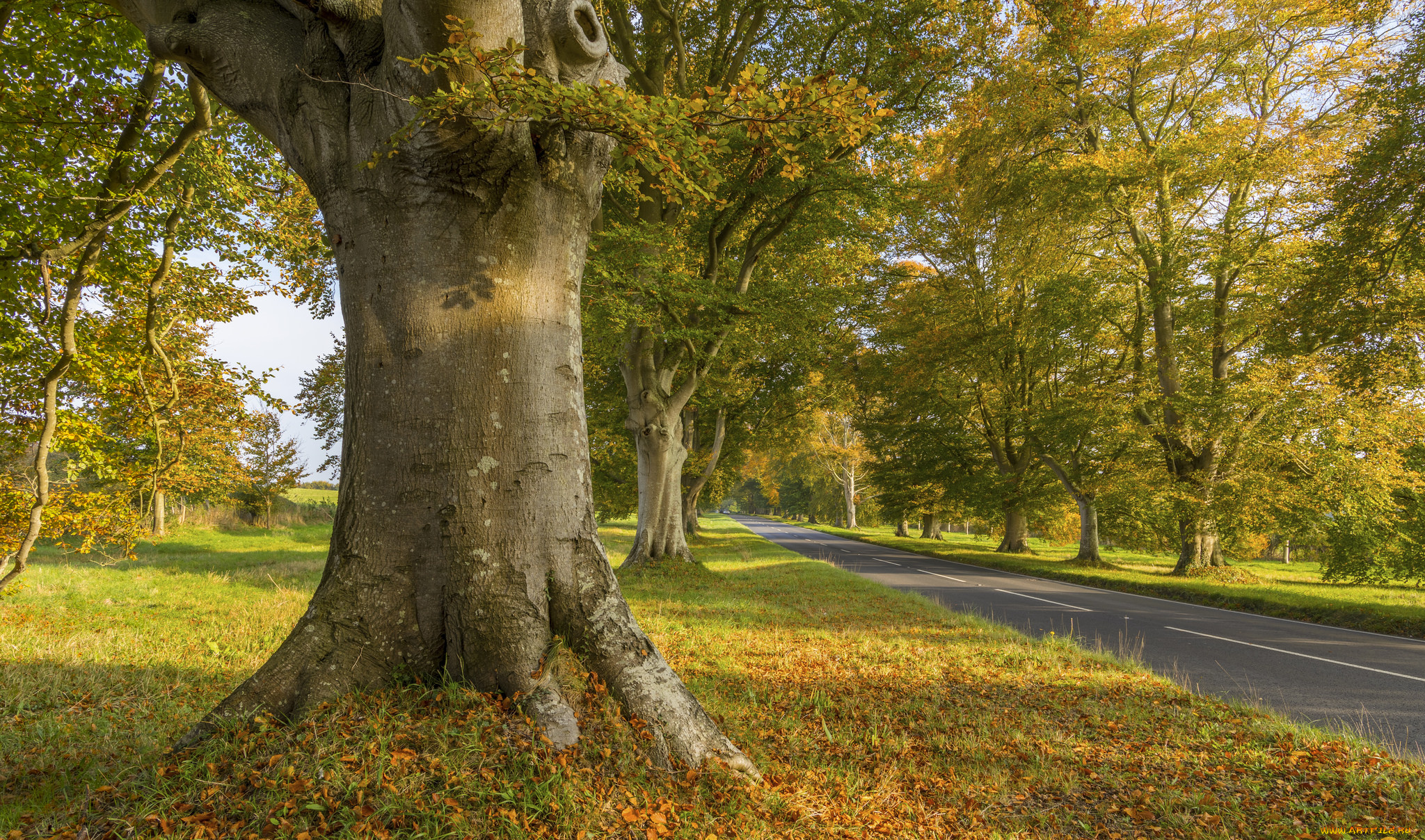 природа, дороги, простор